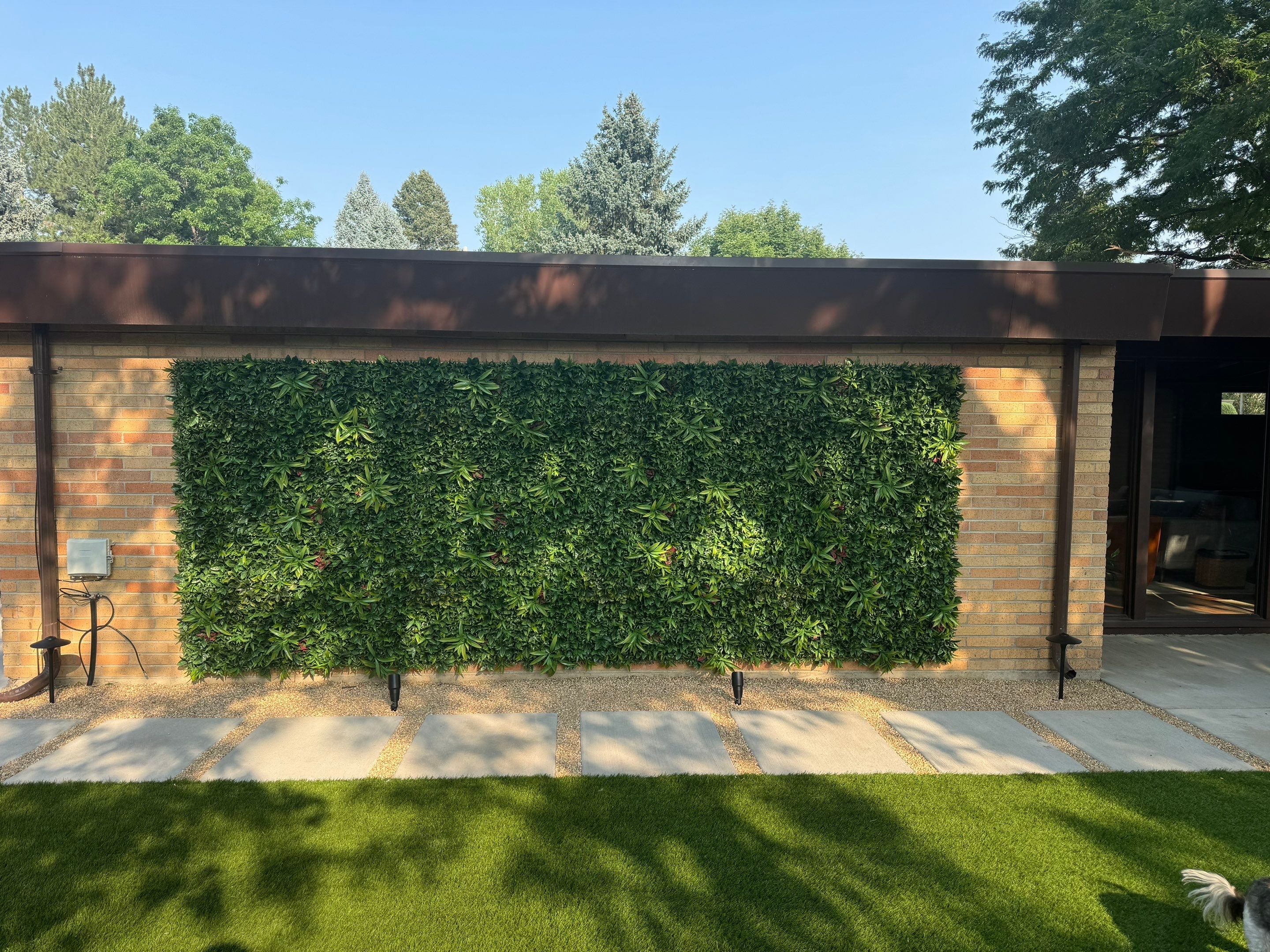 Modern Backyard by JRM landscape & design