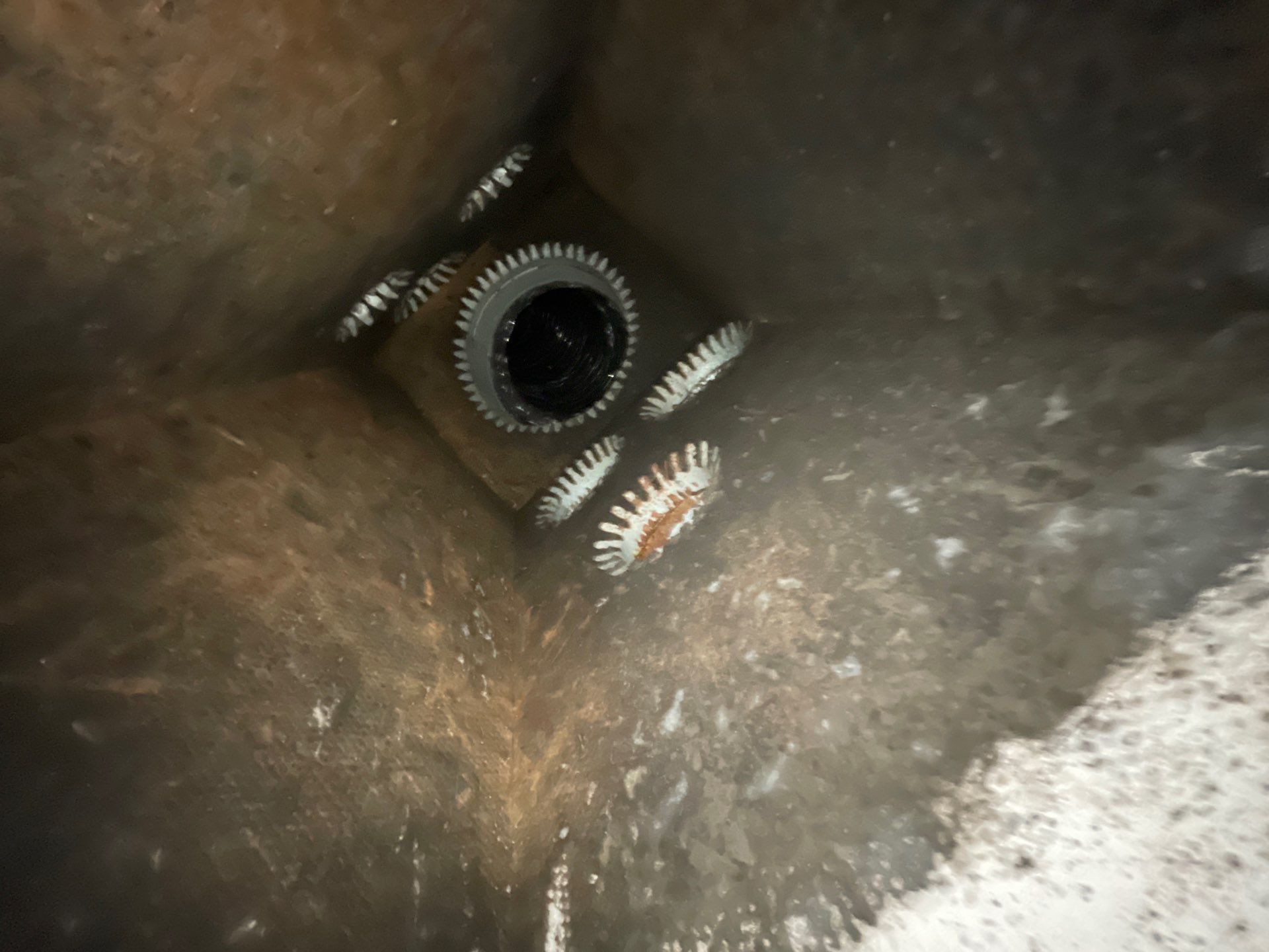 Air Duct Cleaning & Access Restoration in Ocoee by Hygienic Air, Inc