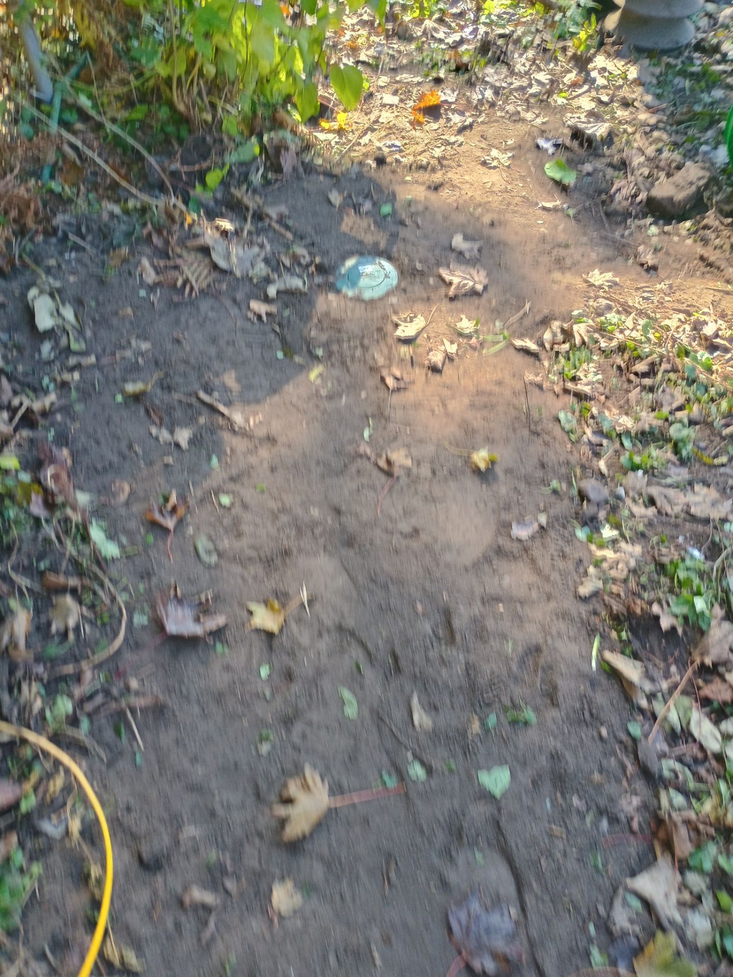 A French Drain for Jeniffer by Waterproofing Northeast