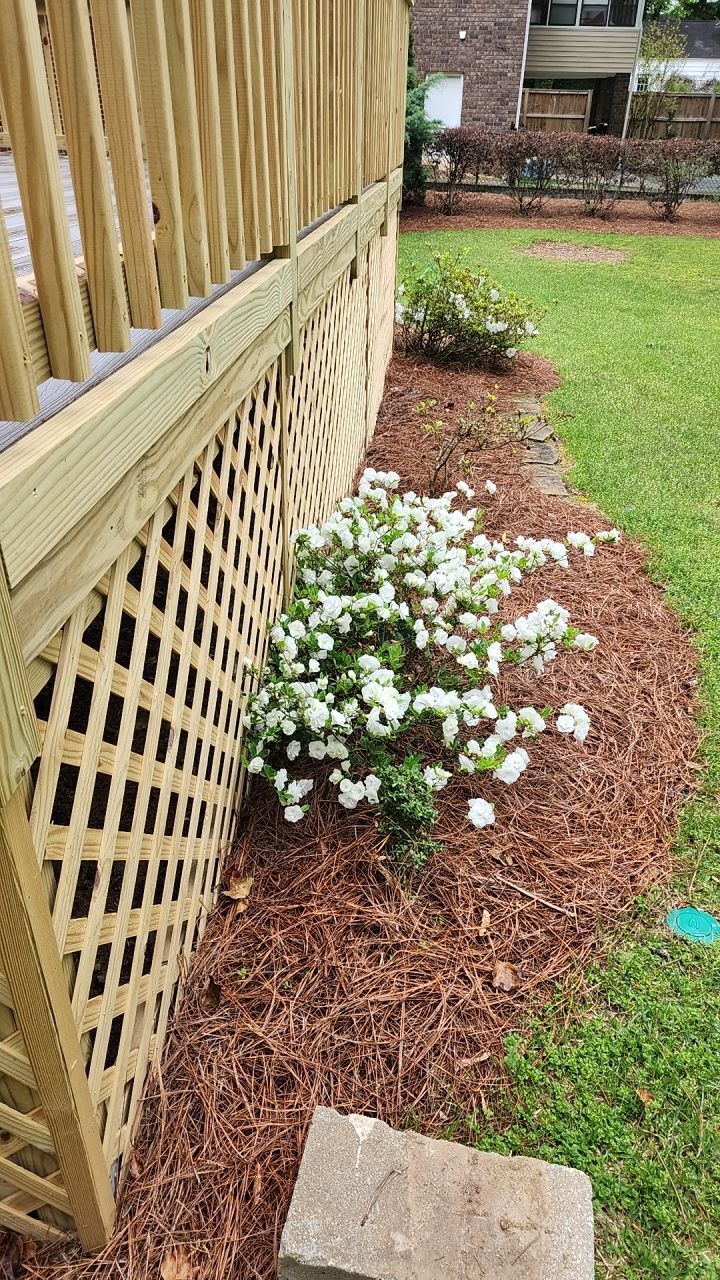 Deck Staining using Walnut by SSE by Titans of Timber Fence & Stain