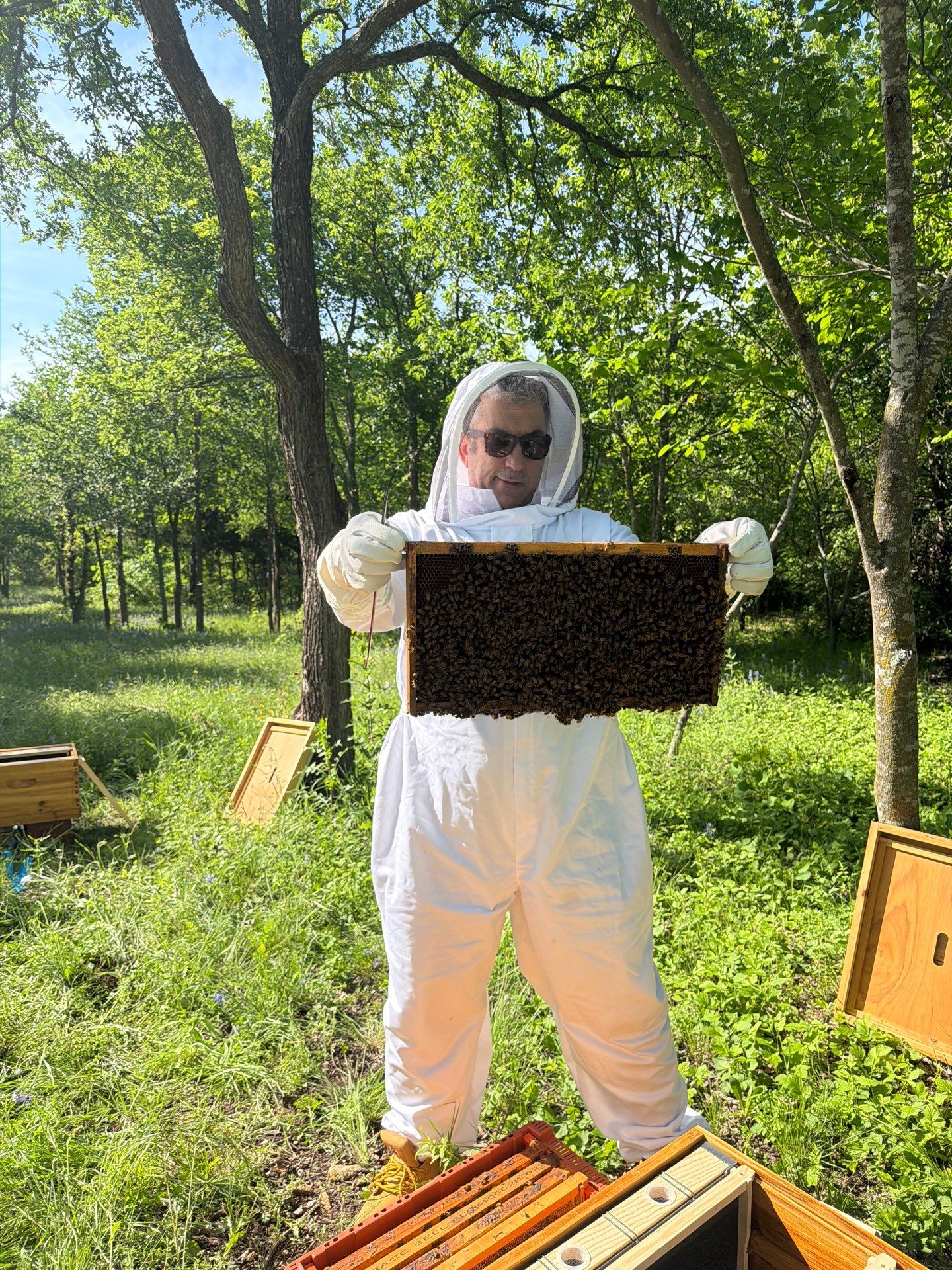 New Beekeeper in Maypearl by Rockwall Honey Bee Company