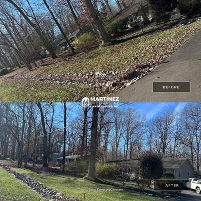 Leaf removal in Hillsborough