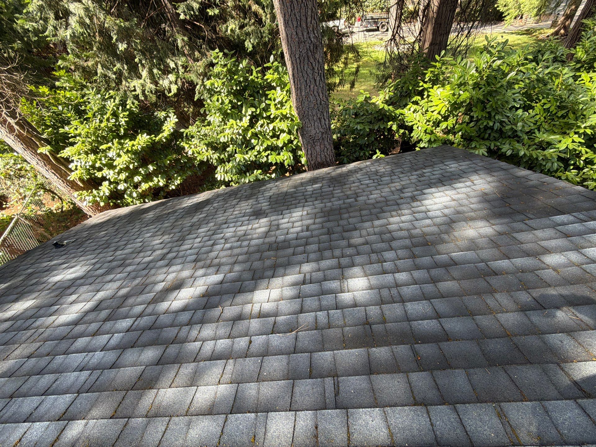Roof Rejuvenation using Roof Maxx Treatment by Roof Maxx of Folsom