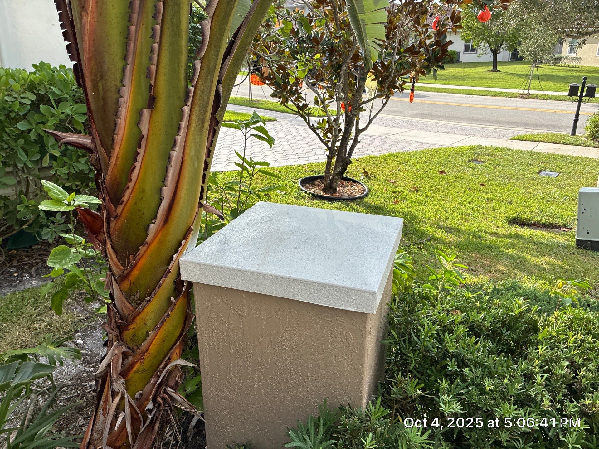Heron Bay Parkland Painting by BKB Pressure Cleaning LLC