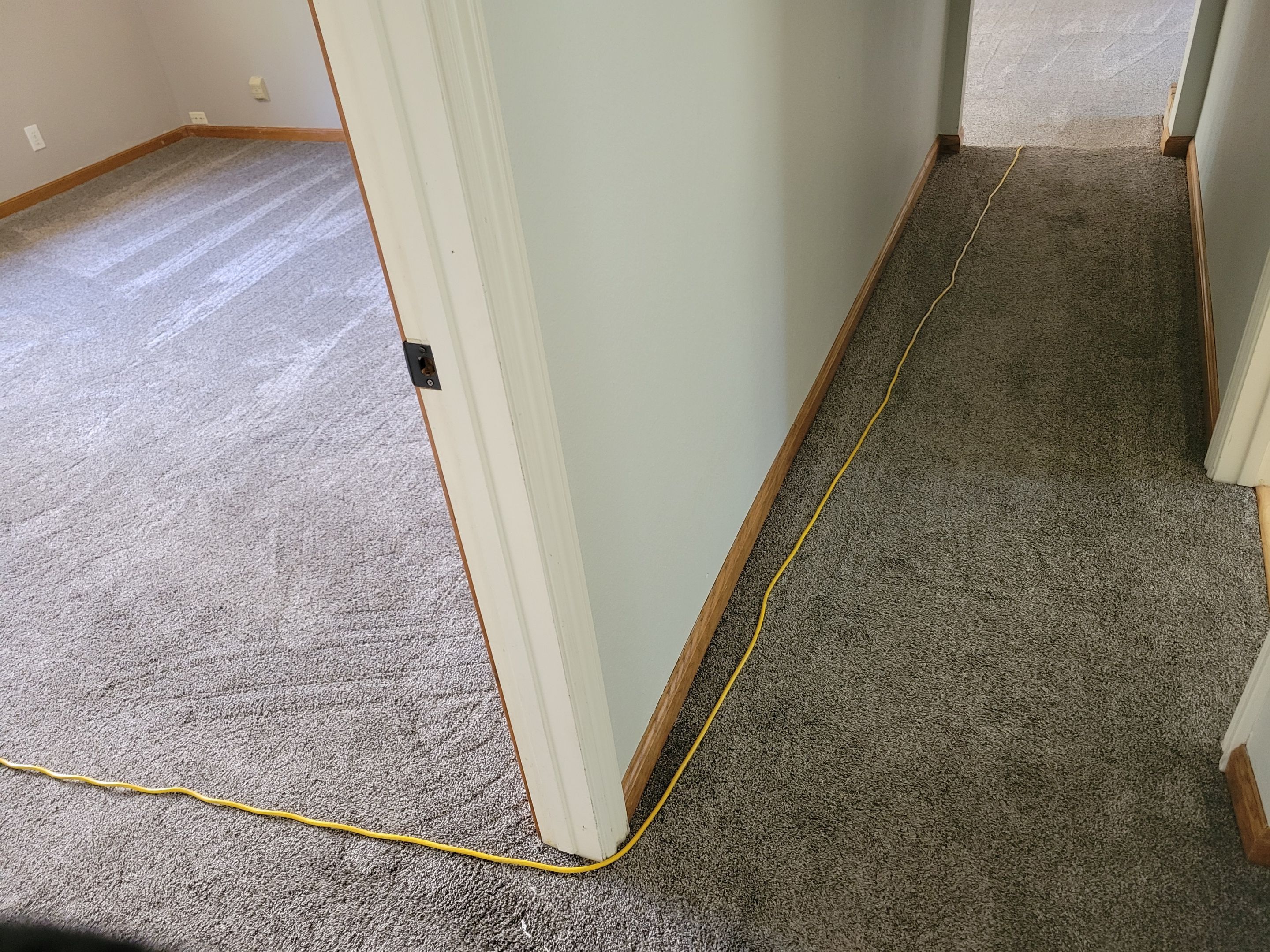 Carpet Cleaning for House Listing by Ardent Carpet Restore LLC
