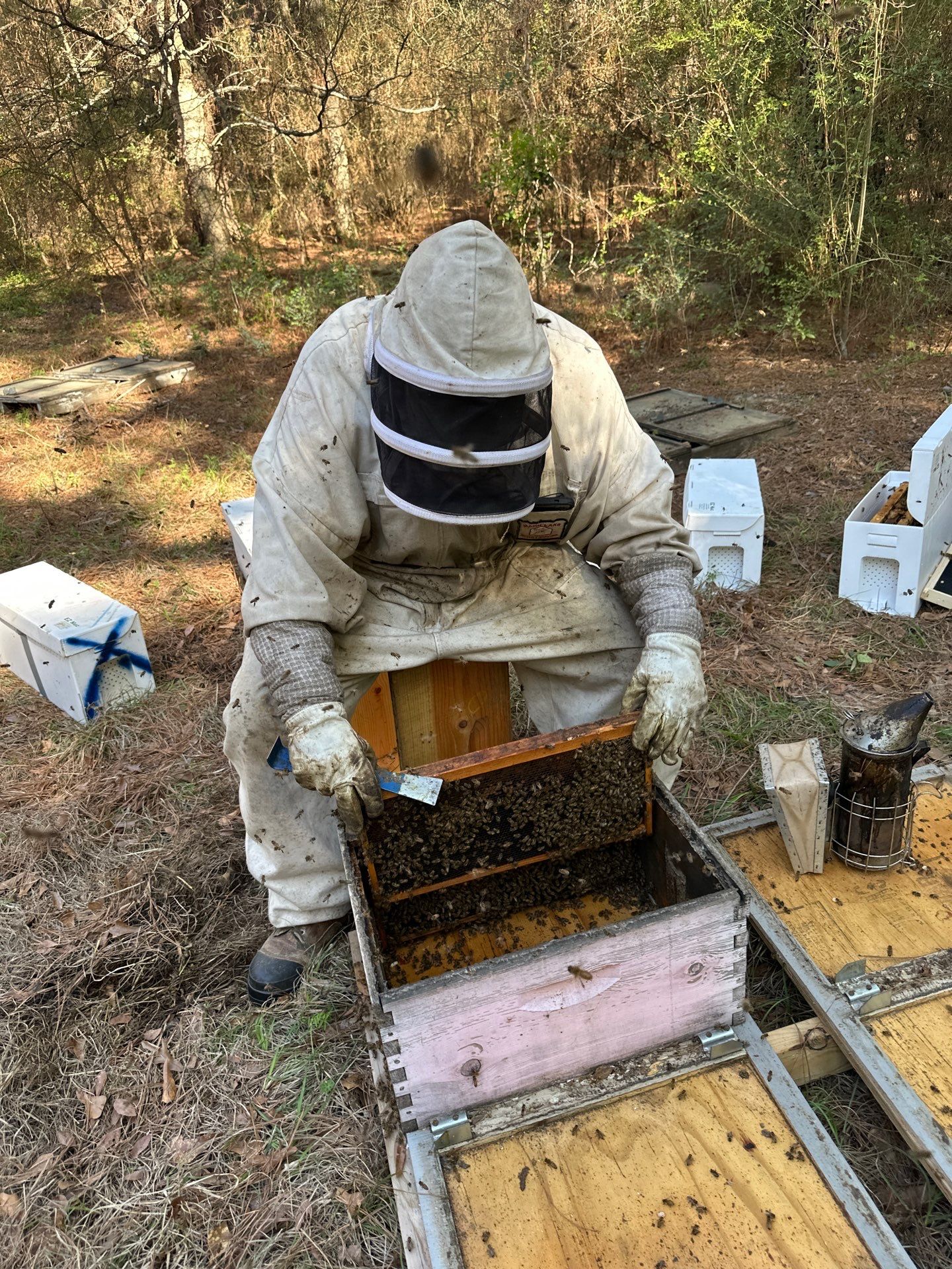 Tree Farm Apiary by Rockwall Honey Bee Company