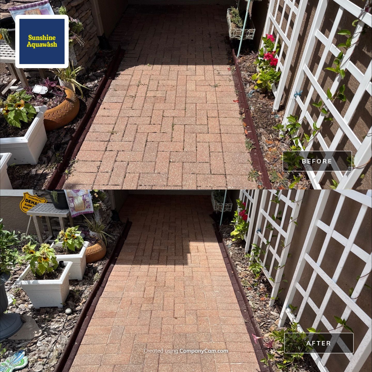 Paver Driveway & Sidewalk Cleaning with Hi-Low Surface Cleaner – Oakleaf Hammock, Ellenton, FL by Sunshine AquaWash