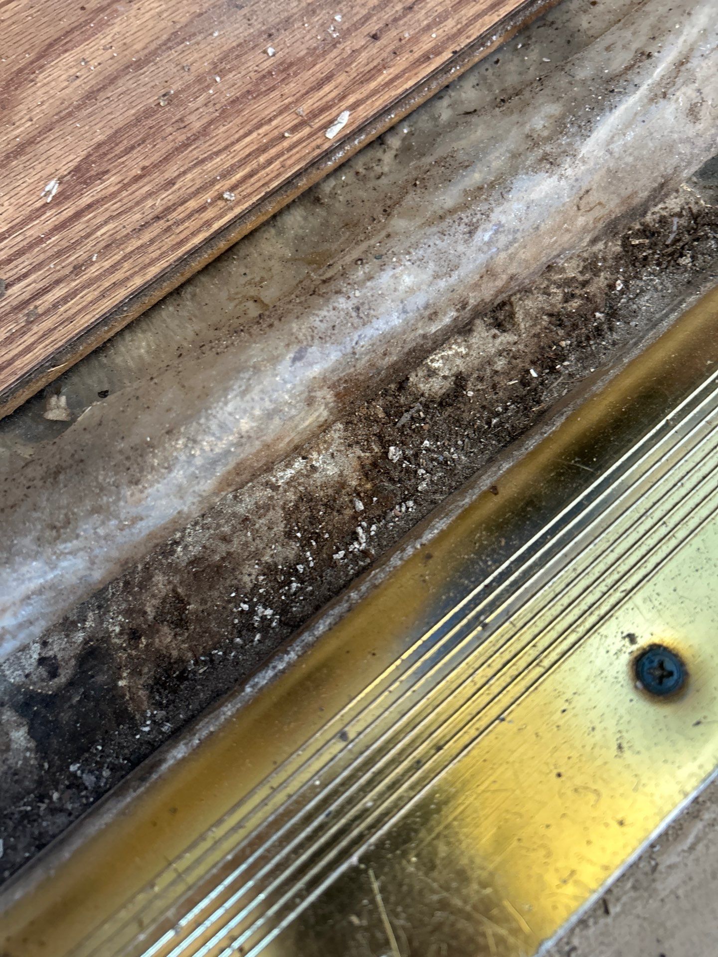 Commercial Mold Damage In Sarasota by Ampm Restoration Services