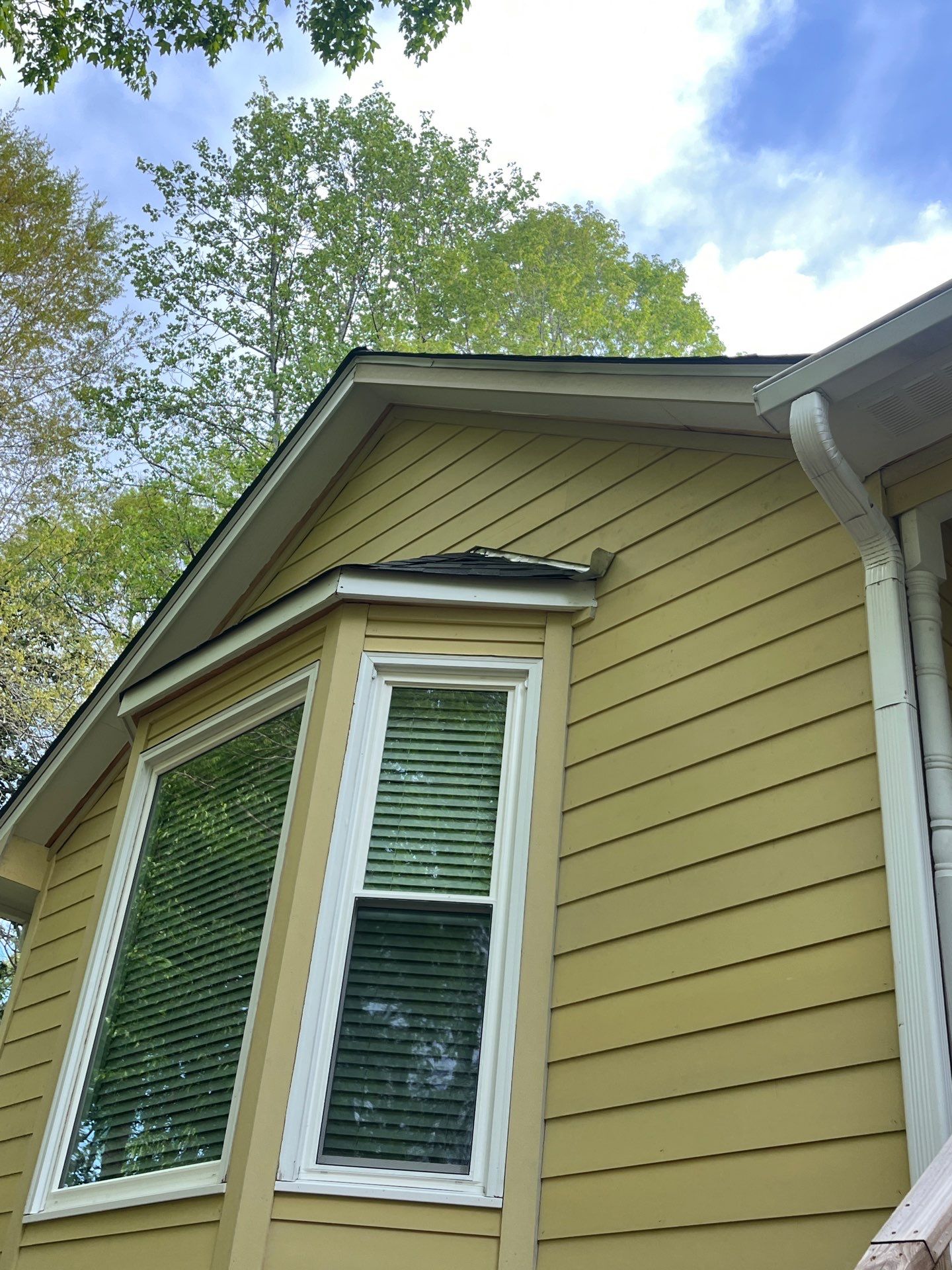 Window, Siding, & Rotten Wood Replacement with Exterior Painting in Woodstock, GA by Nelson Exteriors 