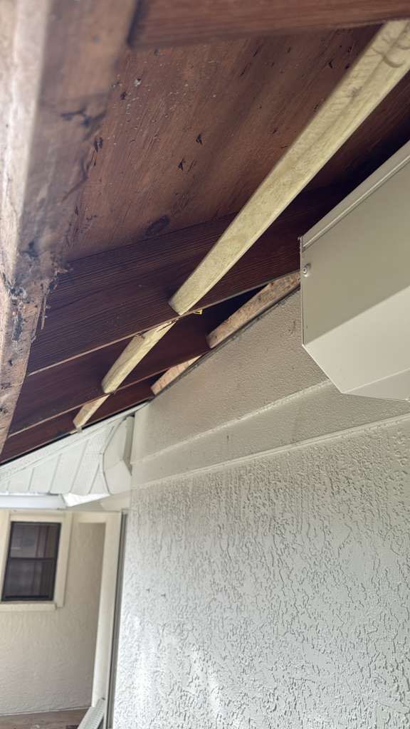 Project in St. Petersburg by Serene Construction