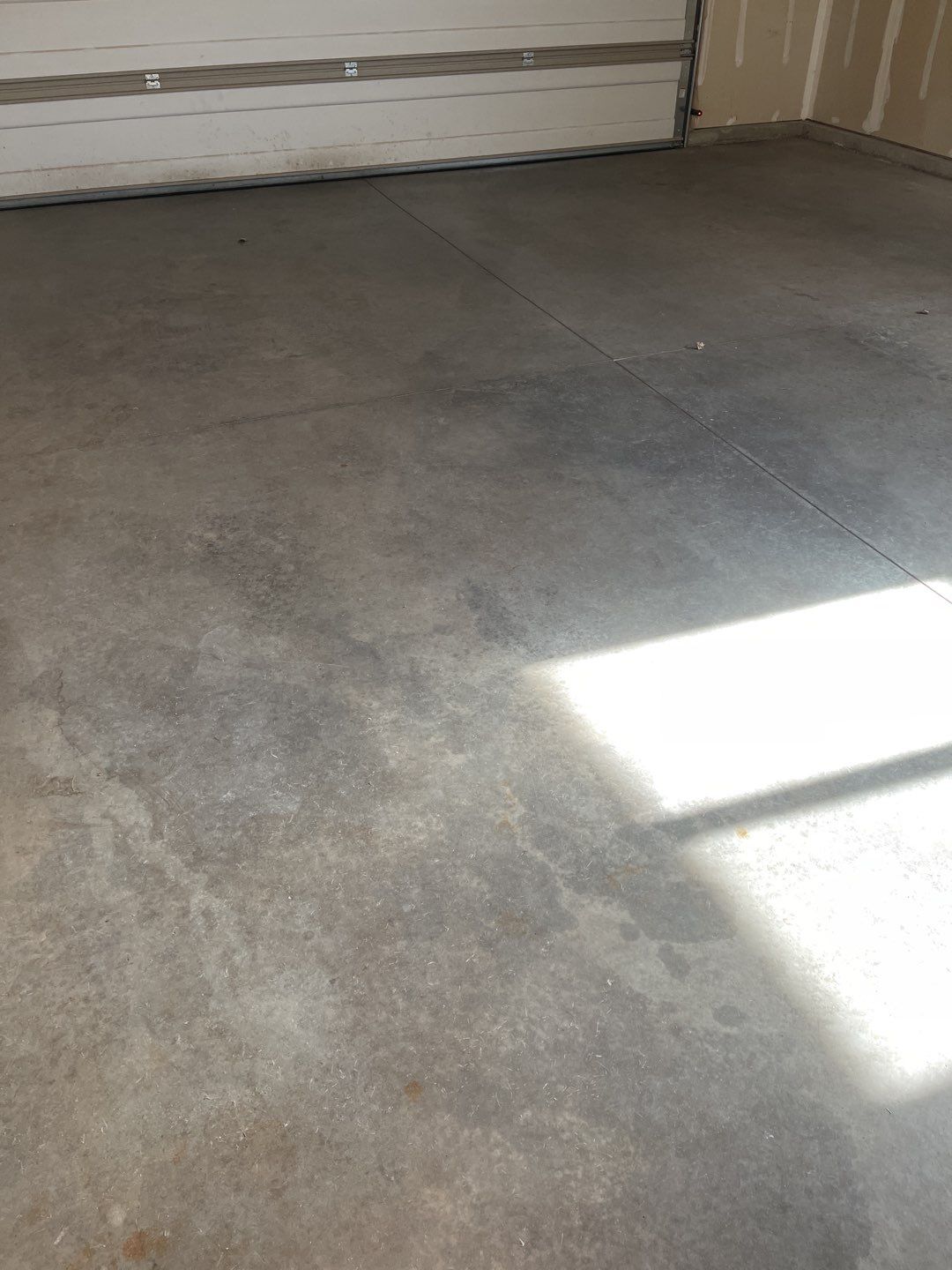 Garage using Domino  by Select Painting, Coatings & Garage Cabinets