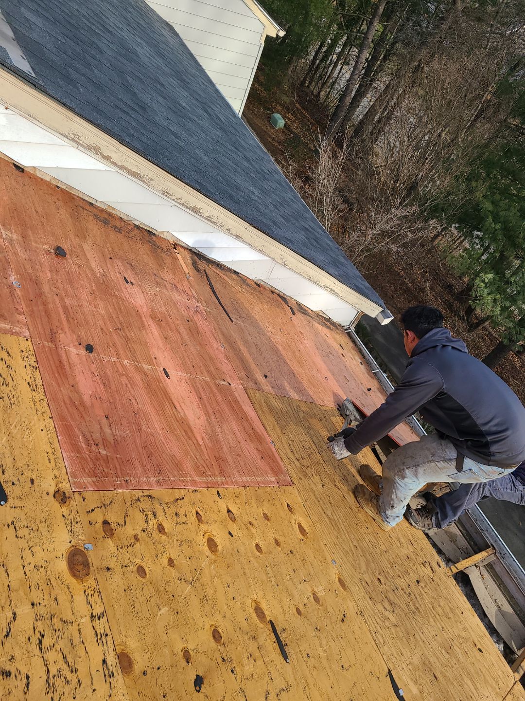 Burke CertainTeed Landmark Pro Roof in Max Def Espresso by RM Banning, Inc.