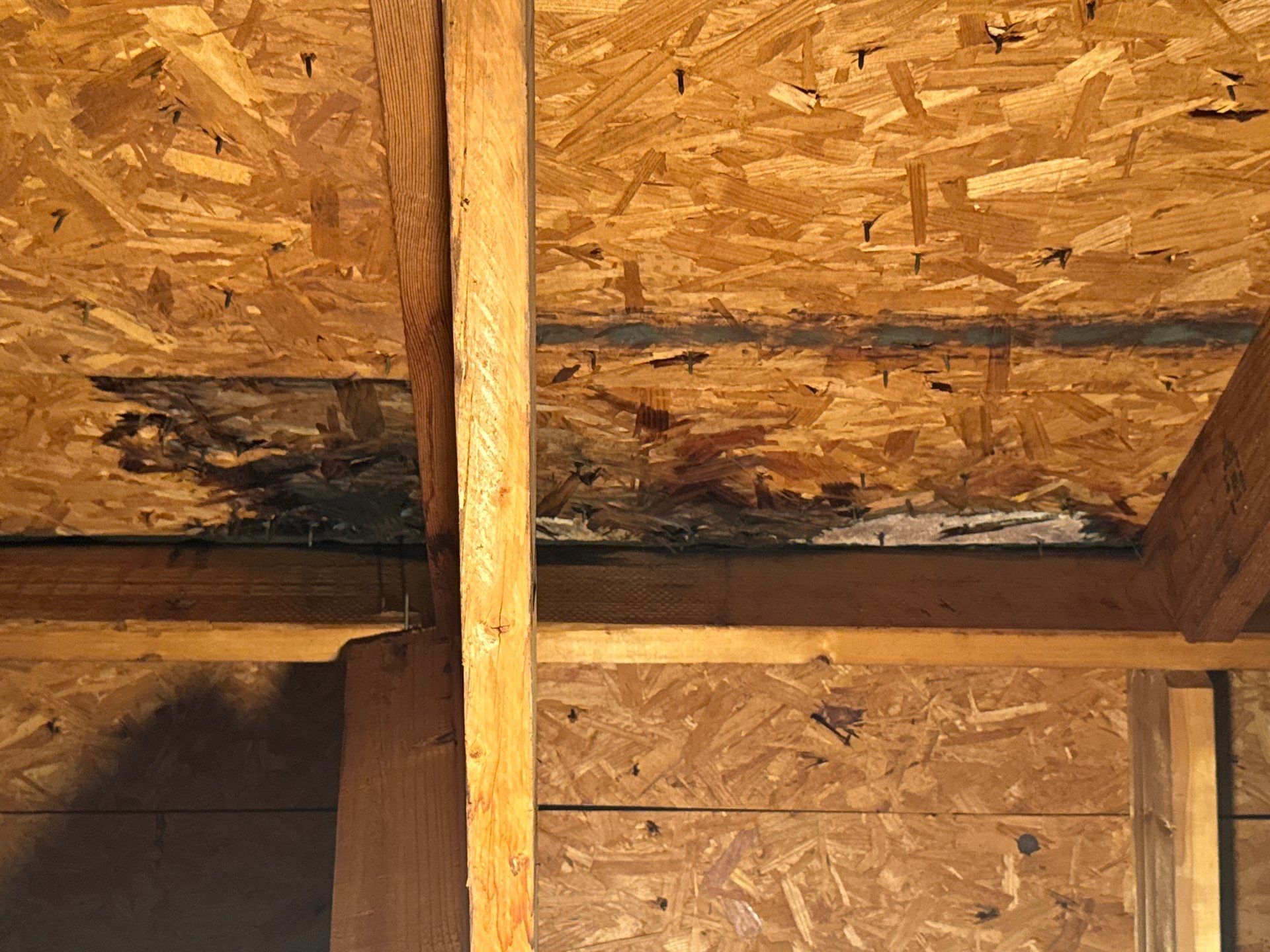 Roof Repair Spring by Roof Repair Company