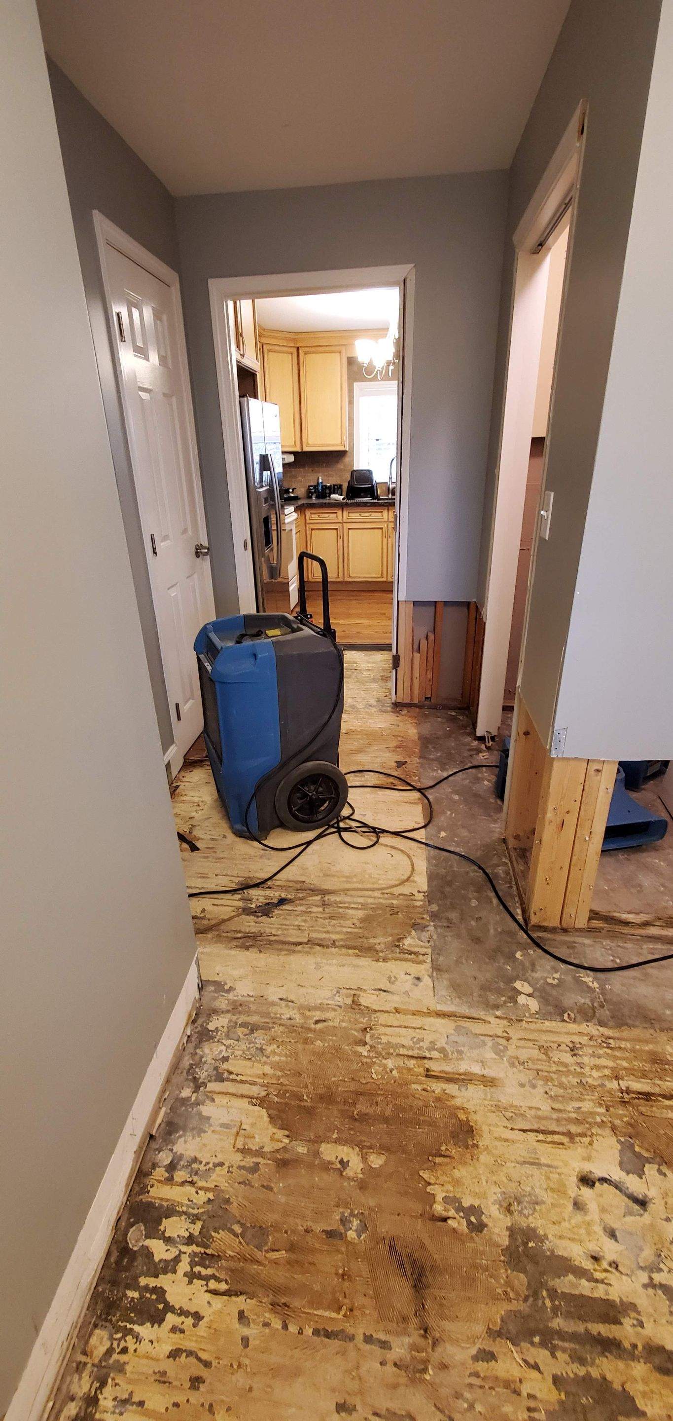 Water Damage by Baxter Professional LLC