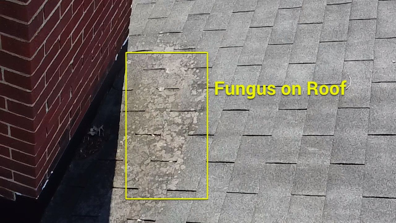 Project in Richmond by Roof Maxx of Midlothian