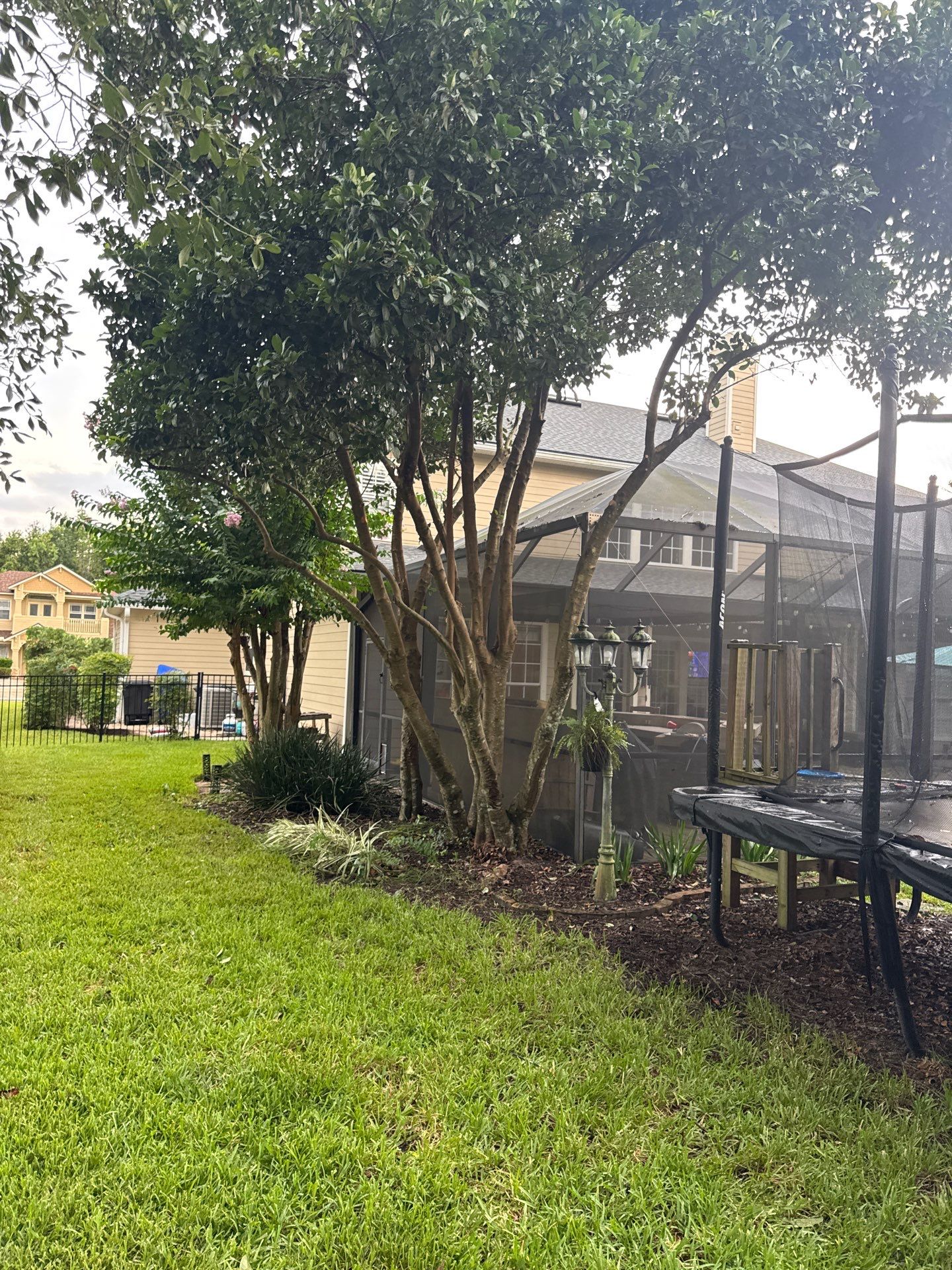 Residential | Sod Installation & Tree Trimming by ProGreen Services