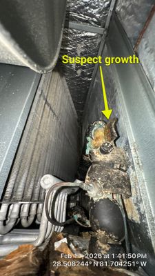 Air Duct Cleaning Dryer Vent Repair Sealed Plenum Clermont