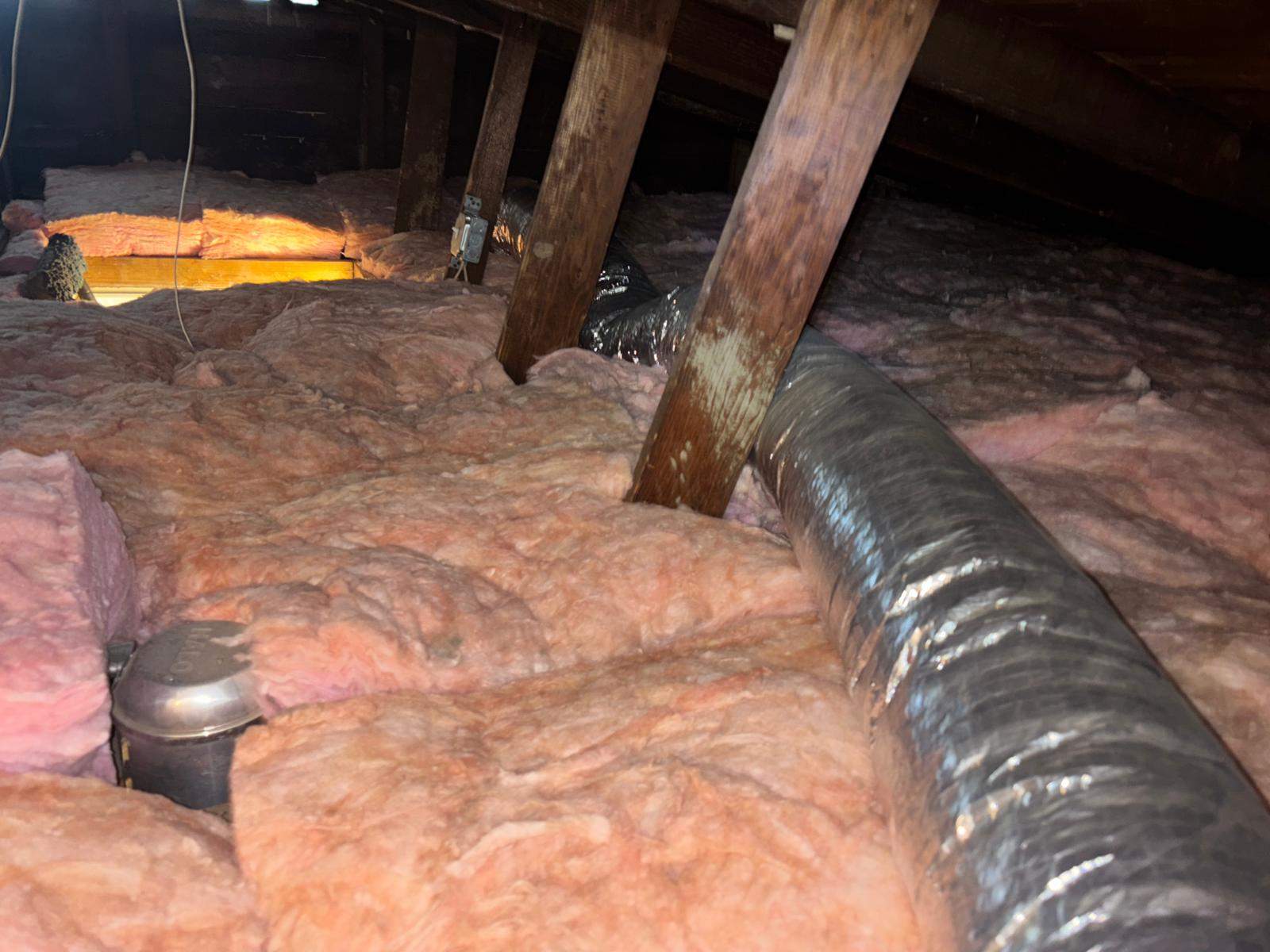 Project in Venice by Insulation Labs