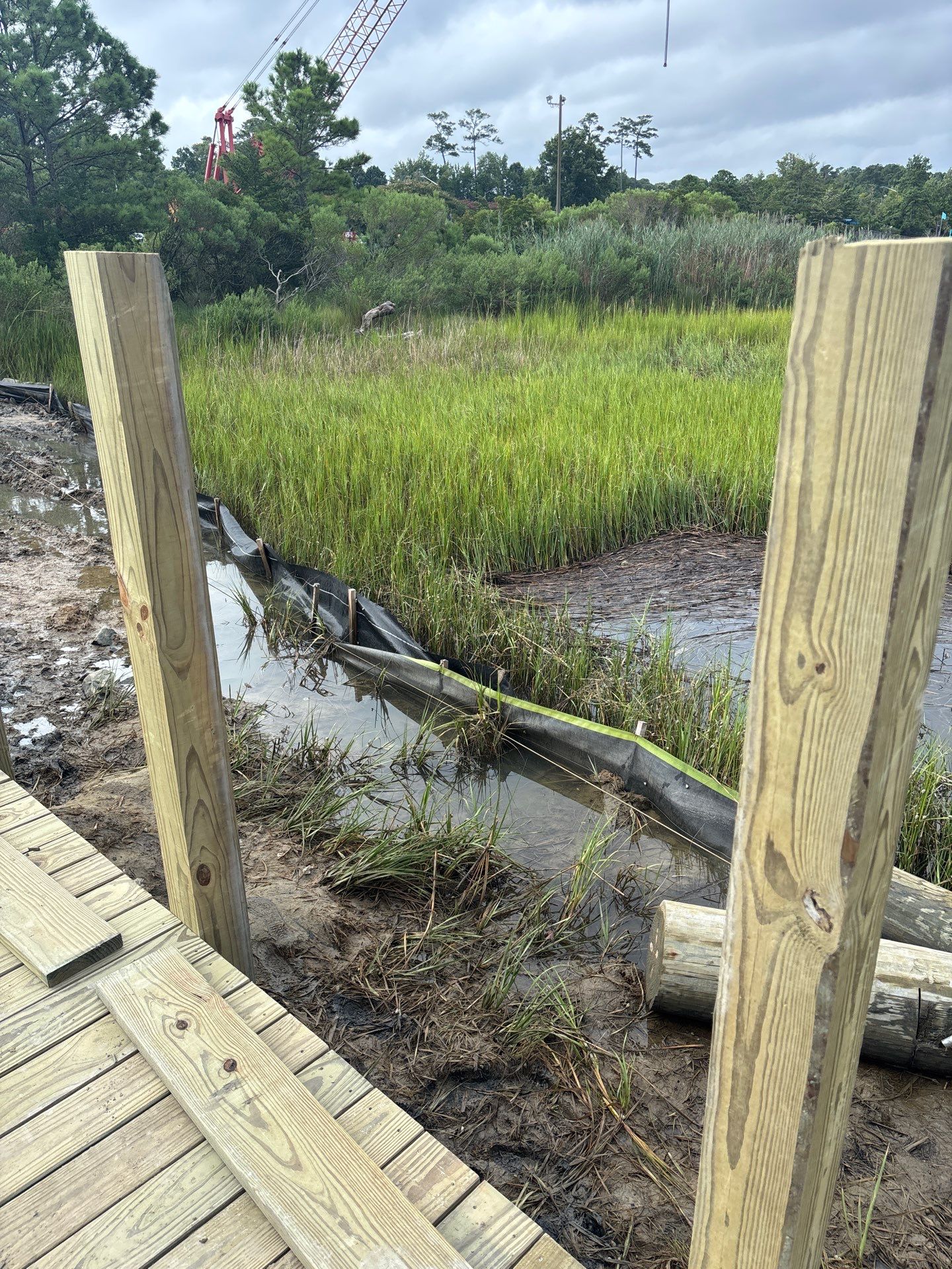 Project in Virginia Beach by Gregory Sandstrom