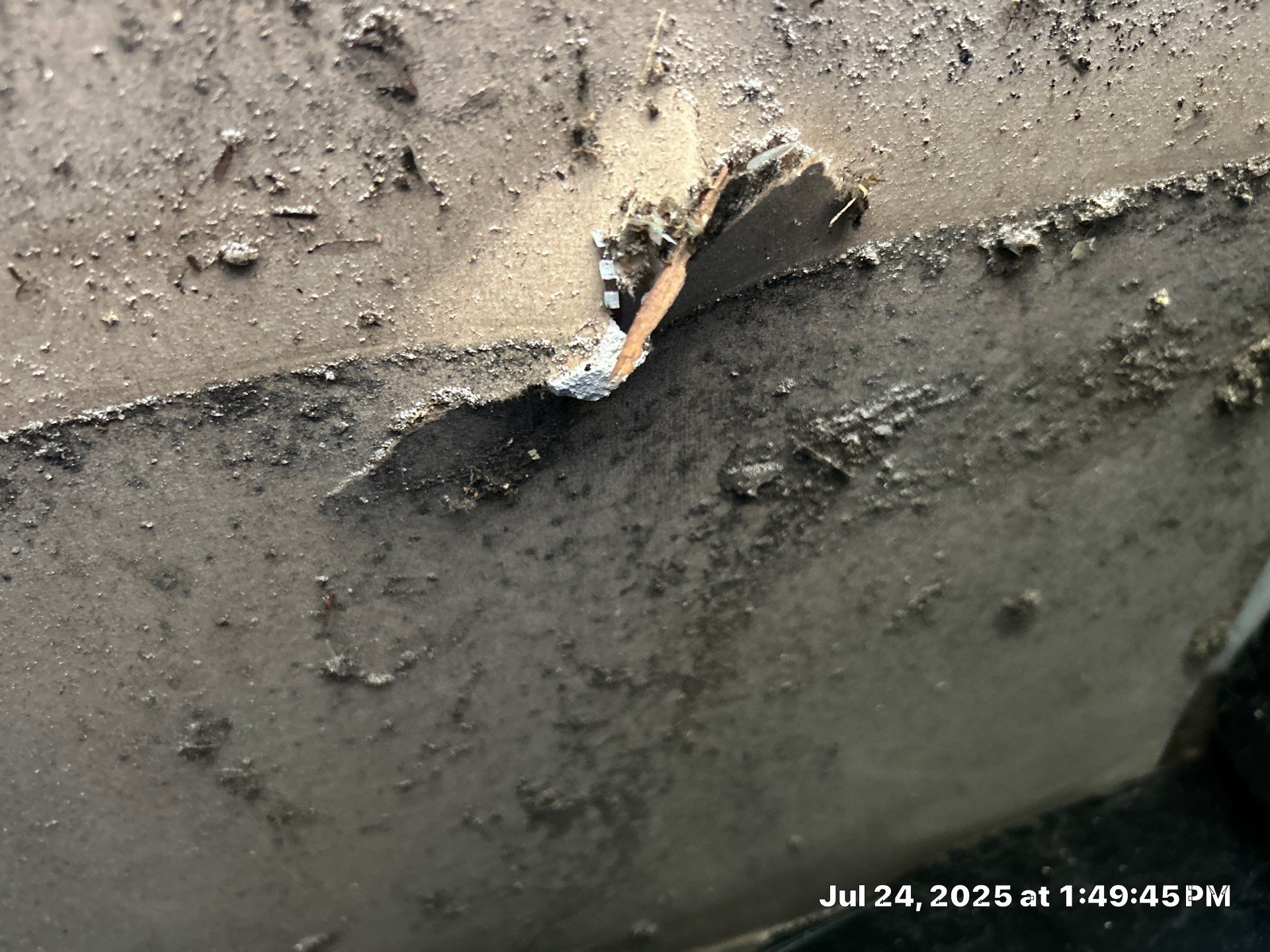 Mold Inspection & Mold Removal In St. Petersburg, FL by Ampm Restoration Services