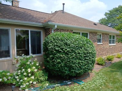 Ed E. - Wheeling, IL
