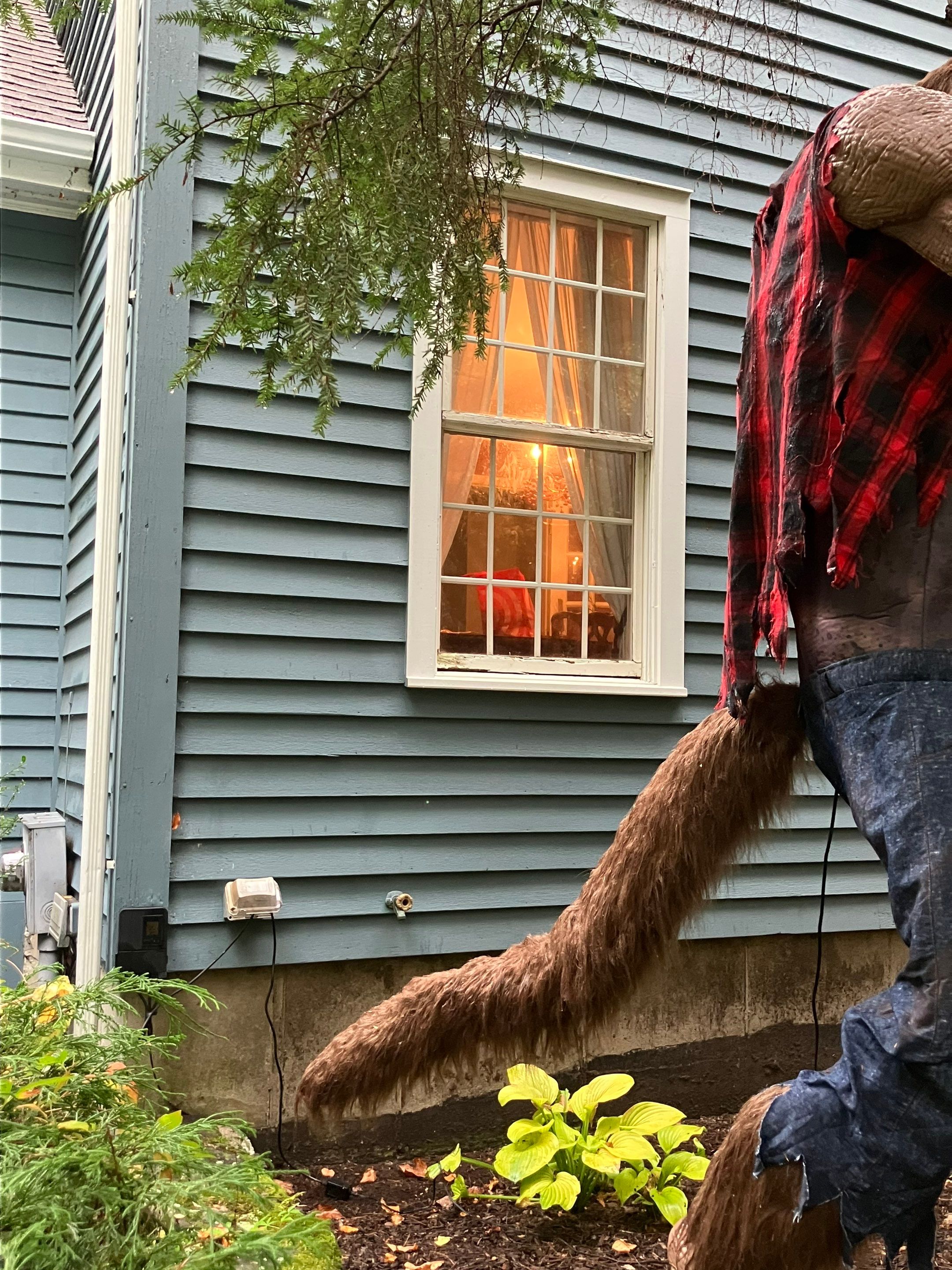 Curb Appeal Boost with Precision Window Replacement by DiGiorgi Roofing and Siding Inc