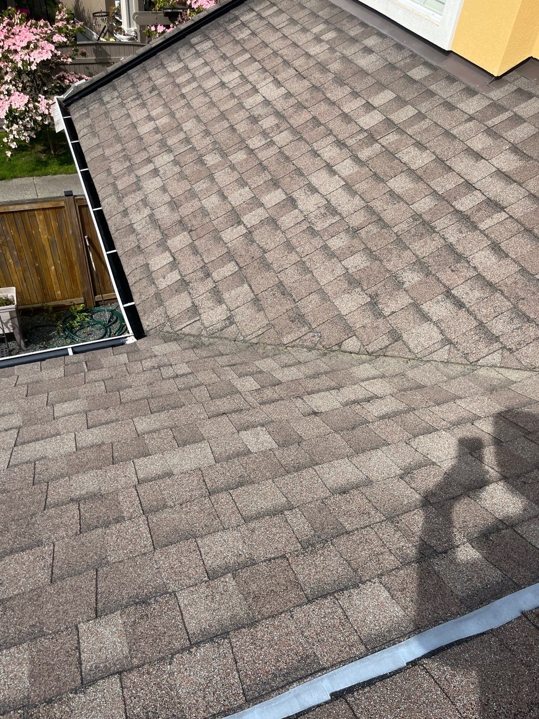 Residential Reroof Shingle using GAF Timberline HDZ by Top Notch Roofing Inc