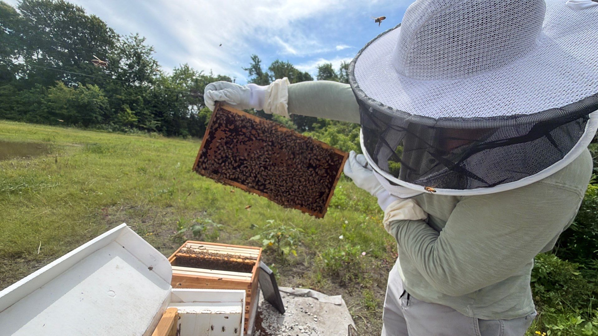 Hometown New Beek by Rockwall Honey Bee Company