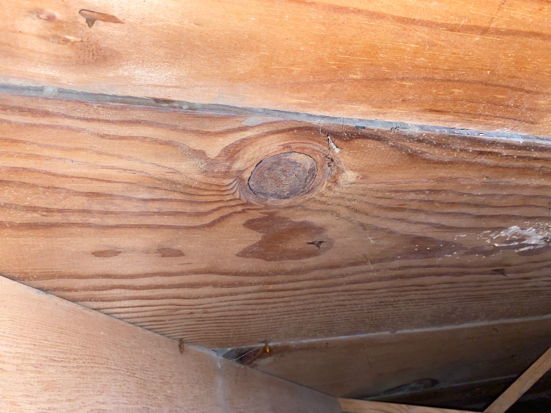 Crawl space mold remediation Burgettstown Pa home by Home Environment Solutions