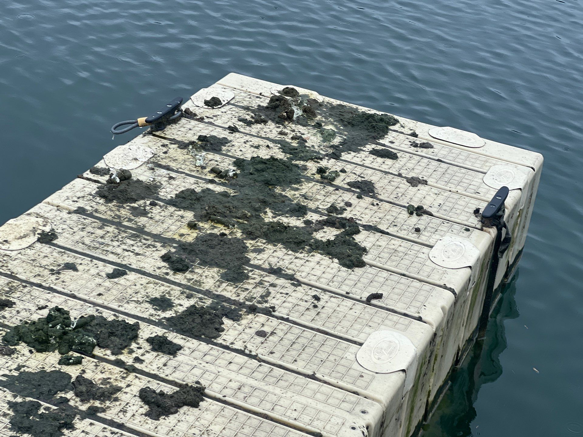 Power washing of floating dock by Northern Power Washing LLC.