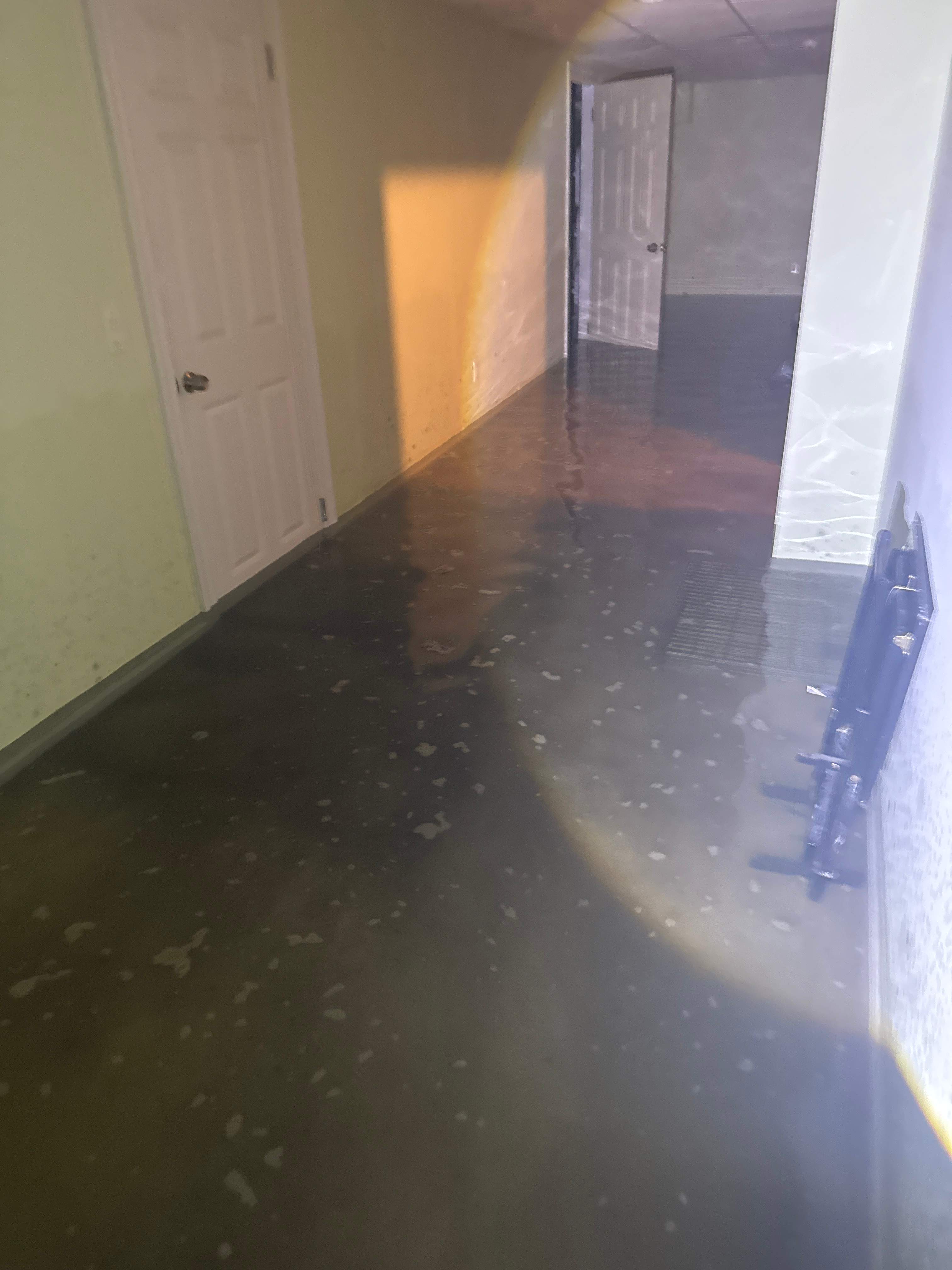 Water Damage / Mold Damage by Newhouse Restoration