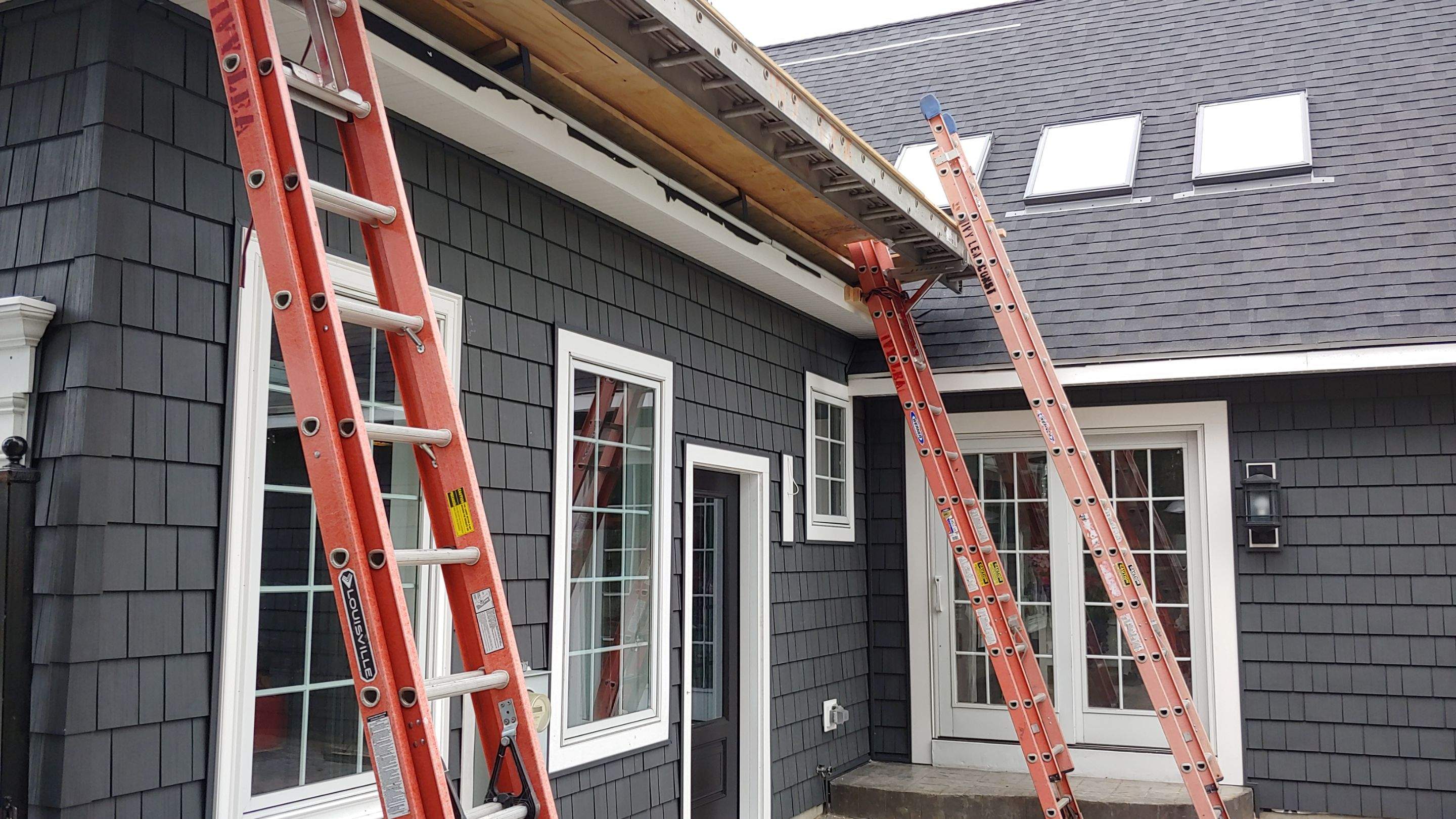 Exterior Renovations- Siding, Concrete, Railings, and Entry Door  by Ivy Lea Construction