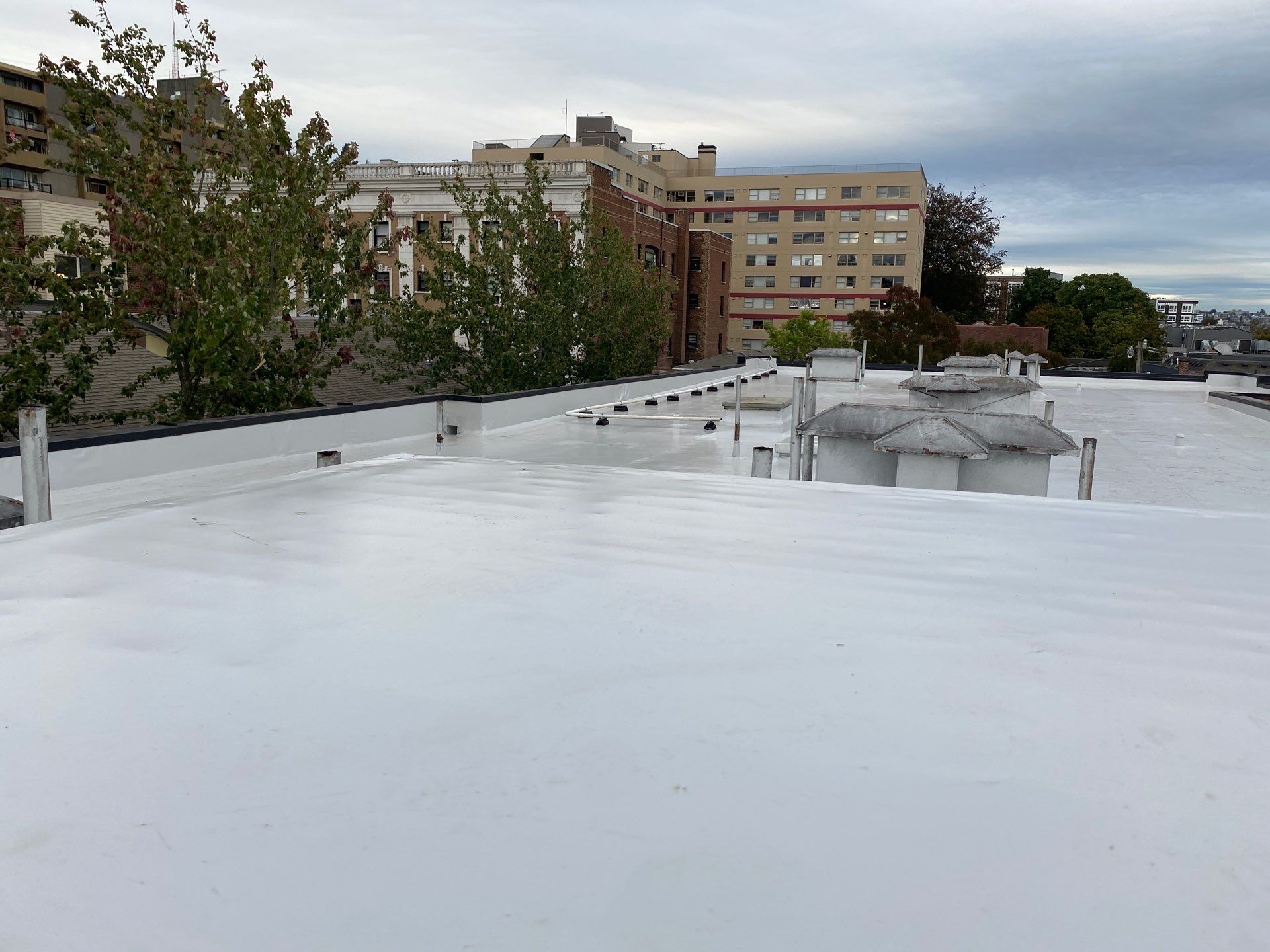 2024 Seattle Multi-Family Overlay by Alternative Roofing Systems Inc. 