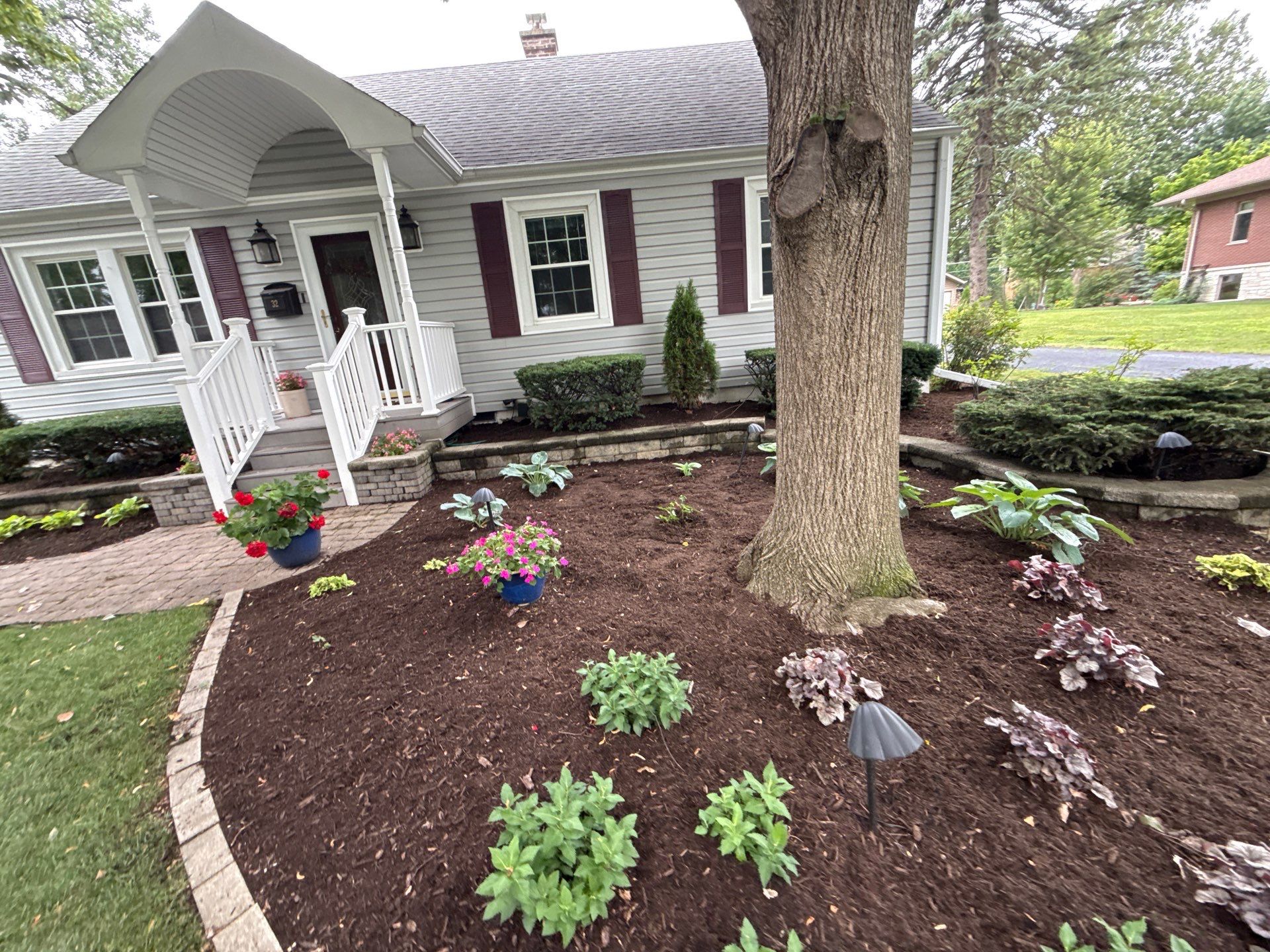 Karen M. - Palatine, IL by A&N