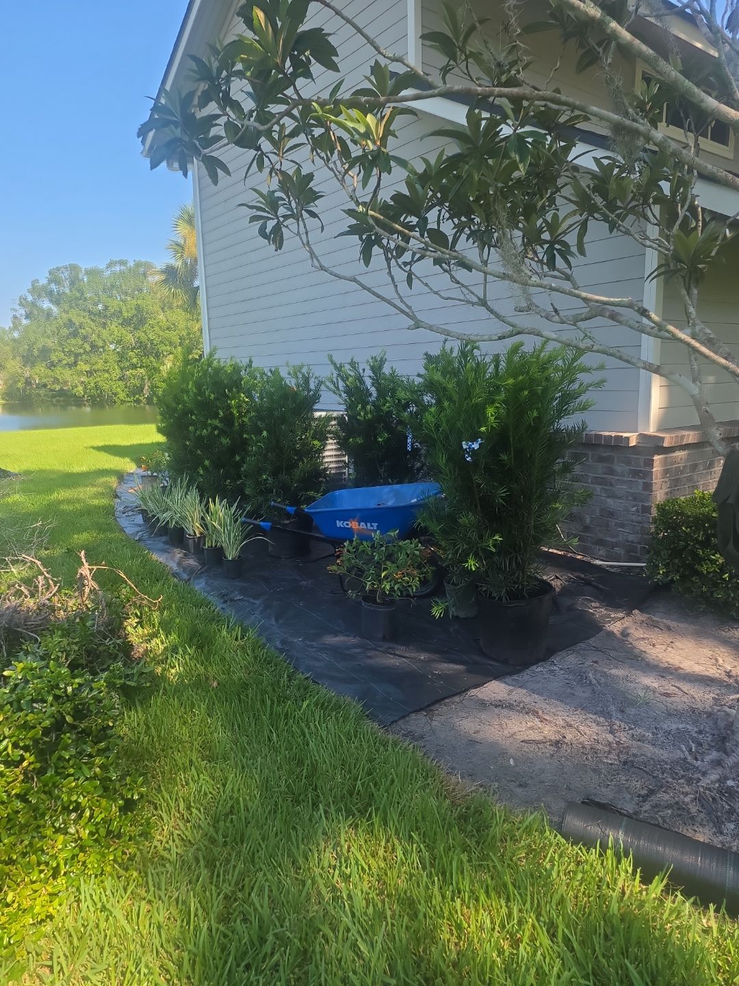 Deerwood Resident | Landscape Update by ProGreen Services
