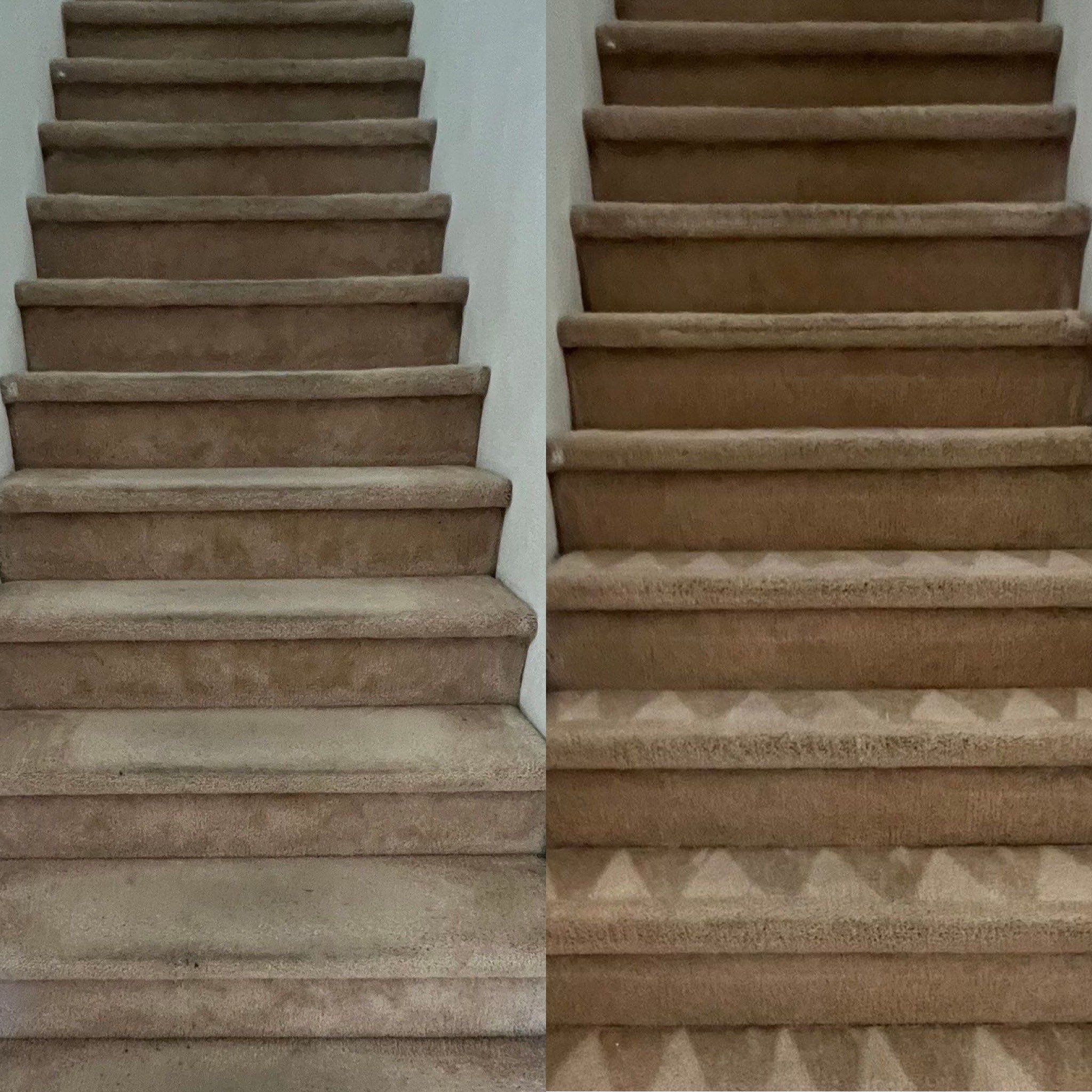 the service shows carpet cleaning on stair steps making them look fresh and tidy with clear cleaning patterns