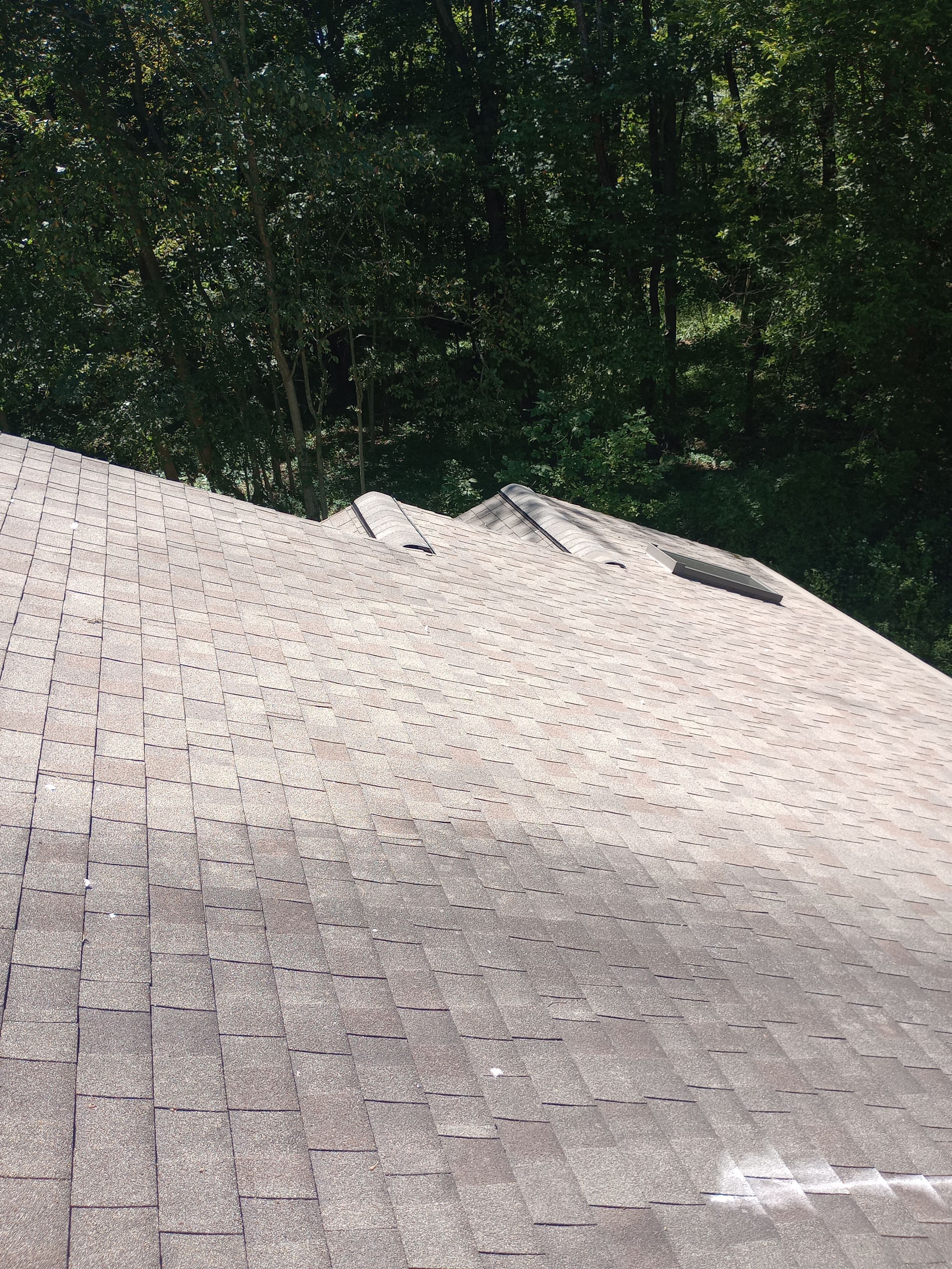Linda Bertle by Silver Leaf Contracting 