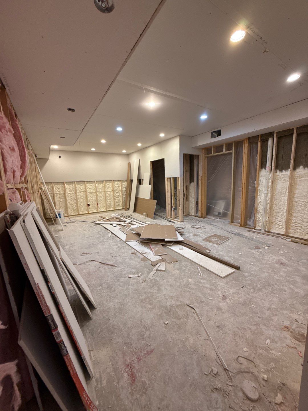 Basement Finishing Project with Home Gym and Sauna in Prospect by Authentic Carpentry