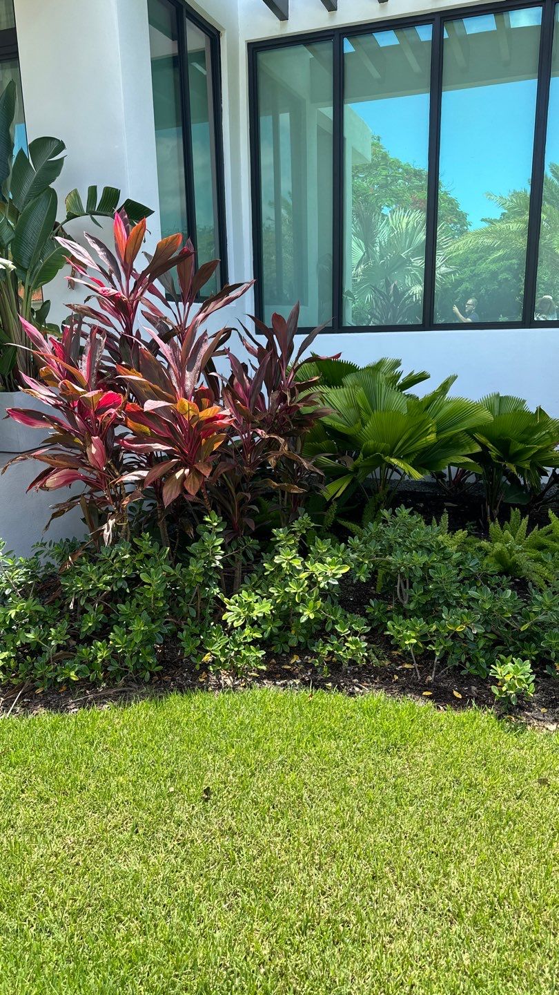 Pinecrest Landscape Upgrade from Minimum Requirements by Nature's Dream Landscape and Tree Service