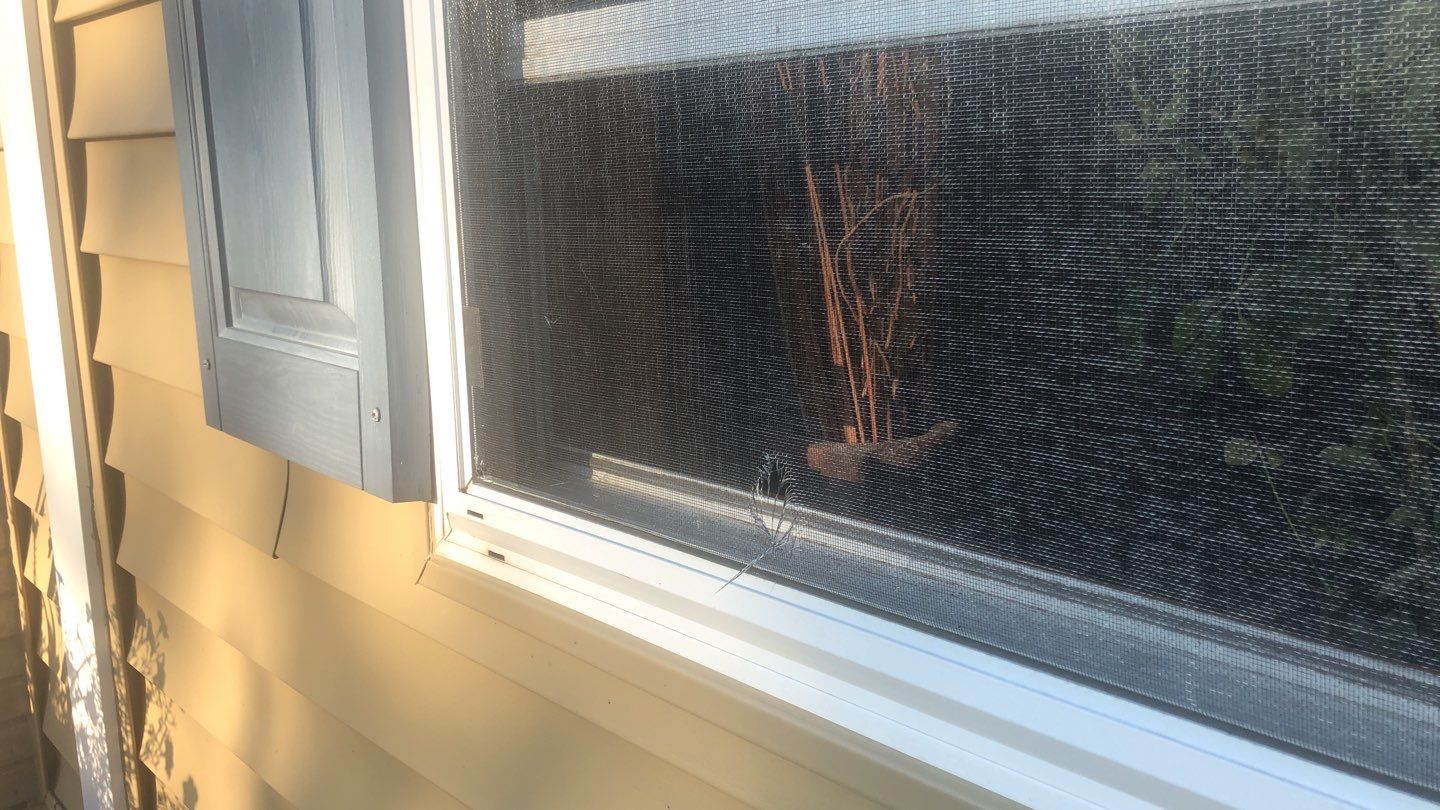 Window Installation using Hayfield Vinyl Windows by MODERN EXTERIOR SYSTEMS