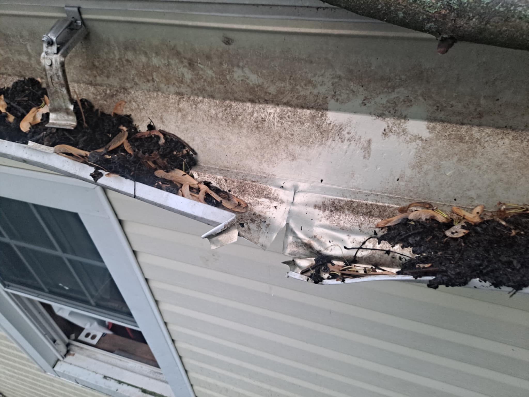 Jonathon Salmons Hail & Tree Damage Report by Constructive Project Management