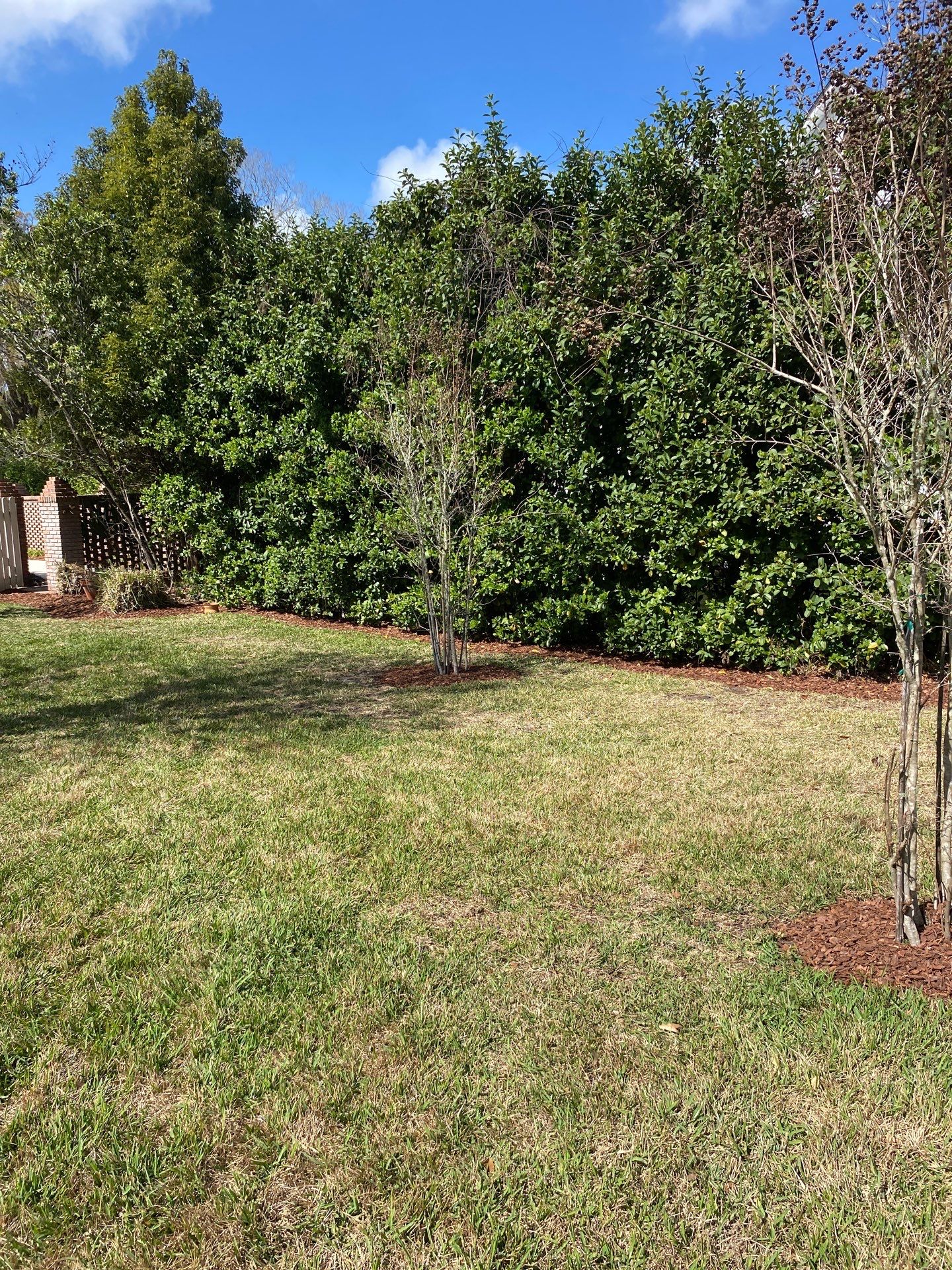 Deerwood Resident | Landscaping by ProGreen Services