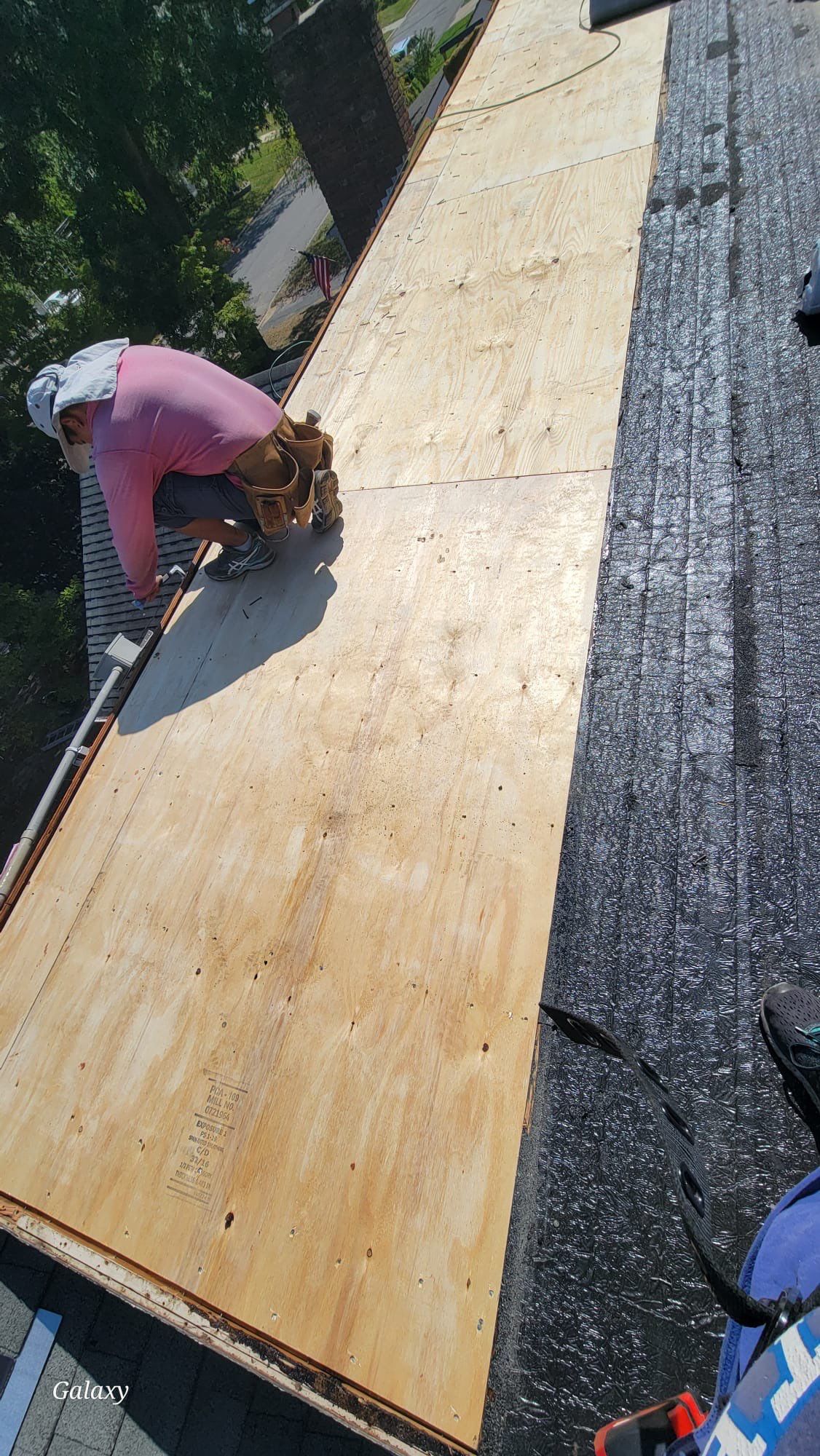 Silver Birch Shingles by Reimagine Roofing