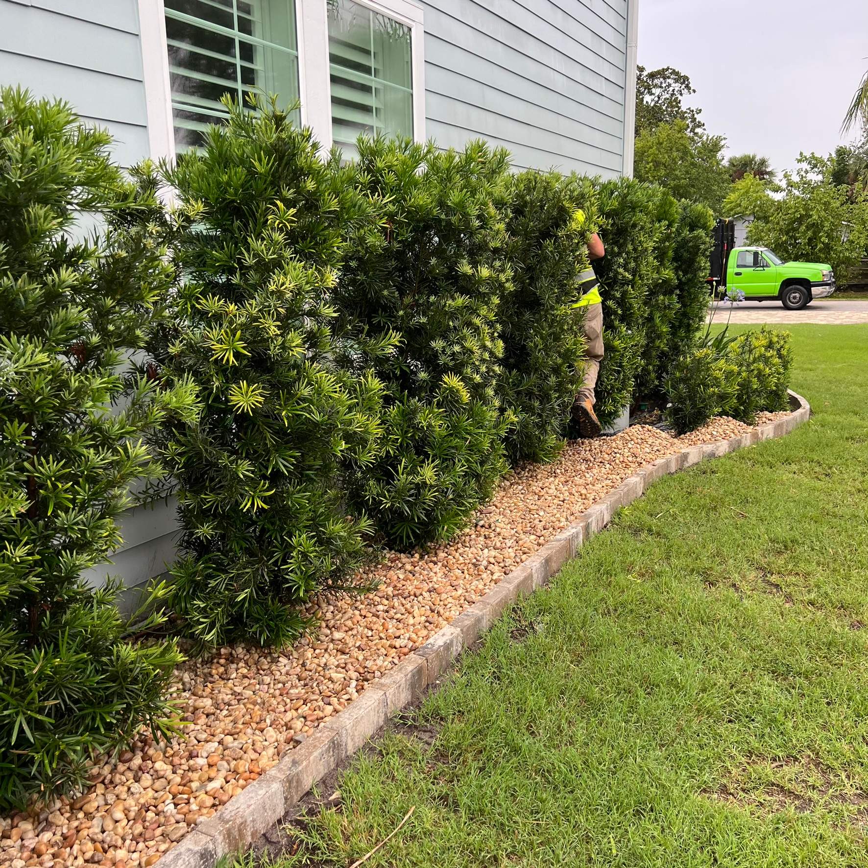 Rock & Agave Installation | Residential by ProGreen Services