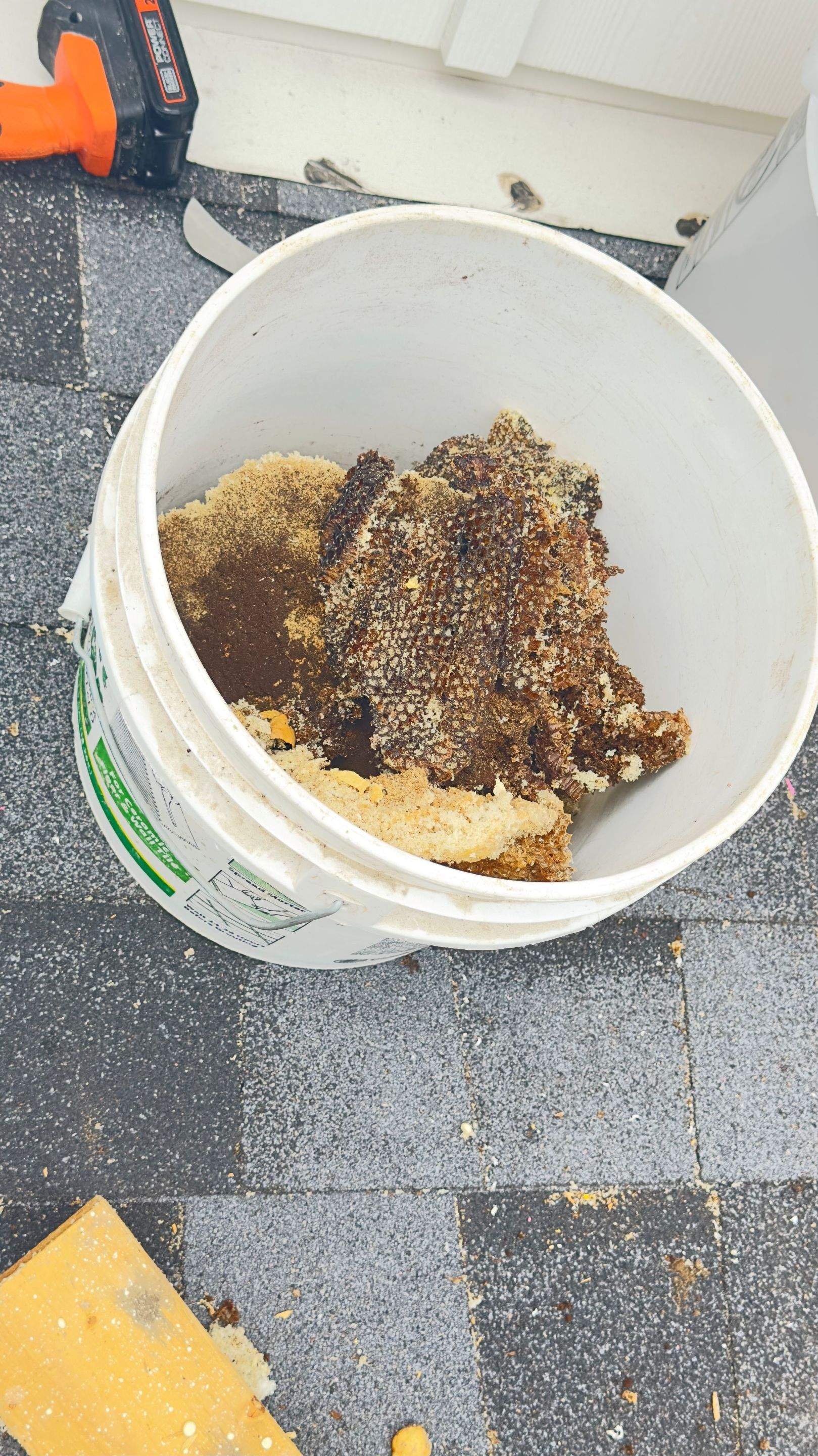 Hide-and-Seek by Rockwall Honey Bee Company