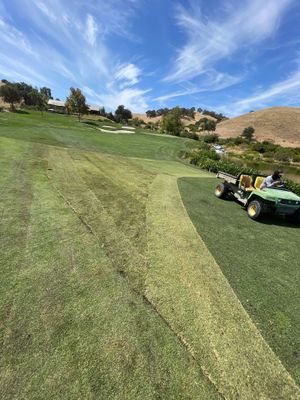 Project in Brooks