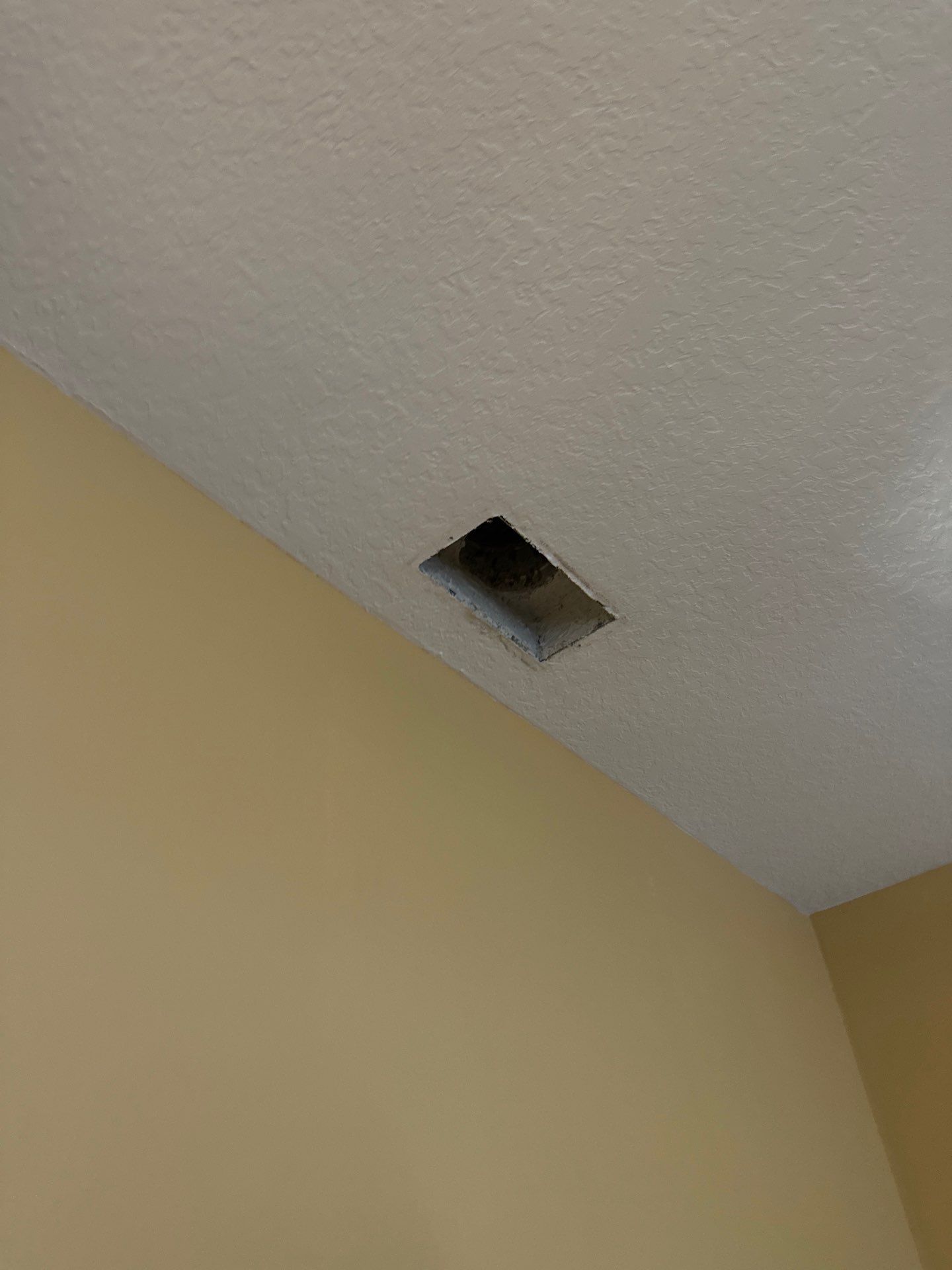 Air Duct Dryer Vent Cleaning Encapsulation Dryer Vent Repair in Clermont by Hygienic Air, Inc