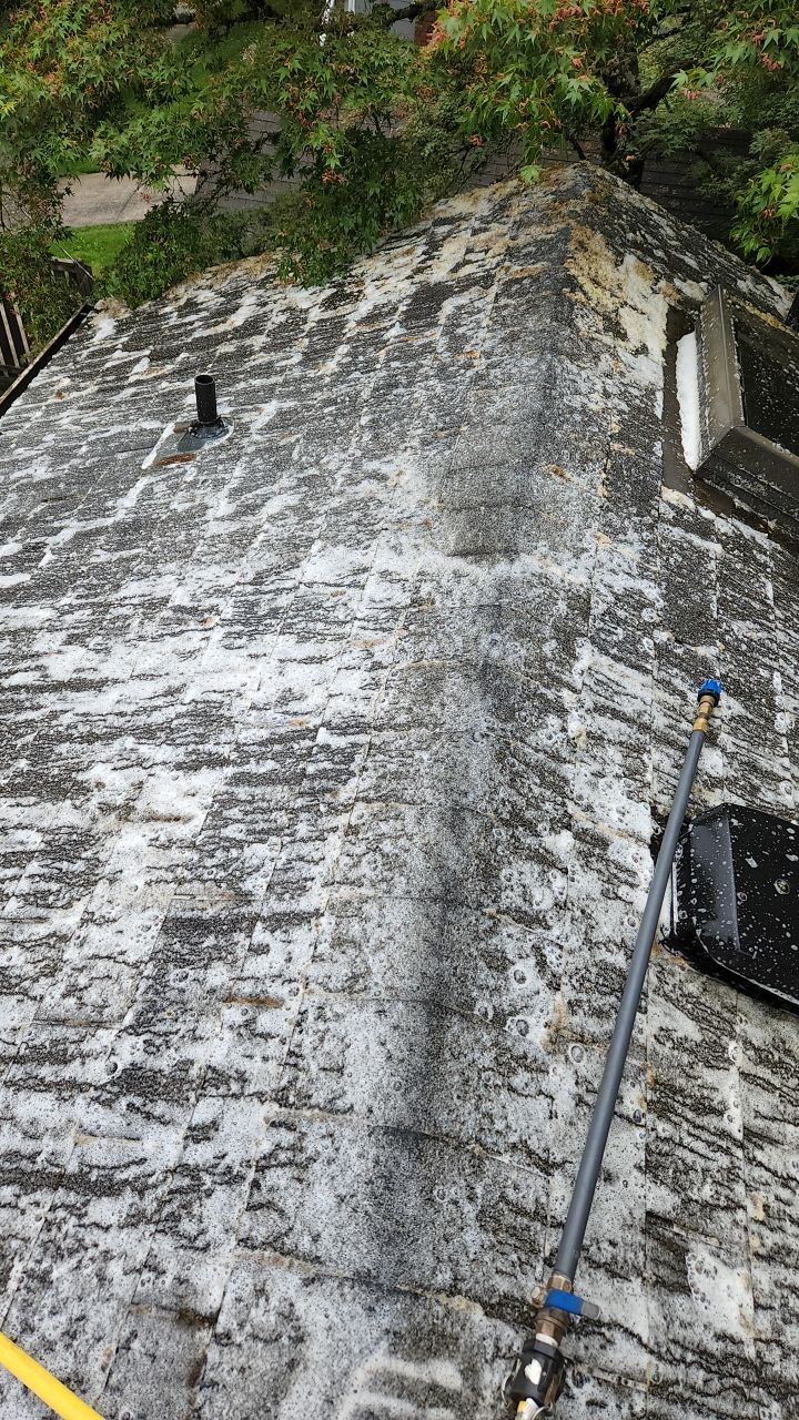 Moss Treatment using Biocide by Willamette Outdoor Wash LLC