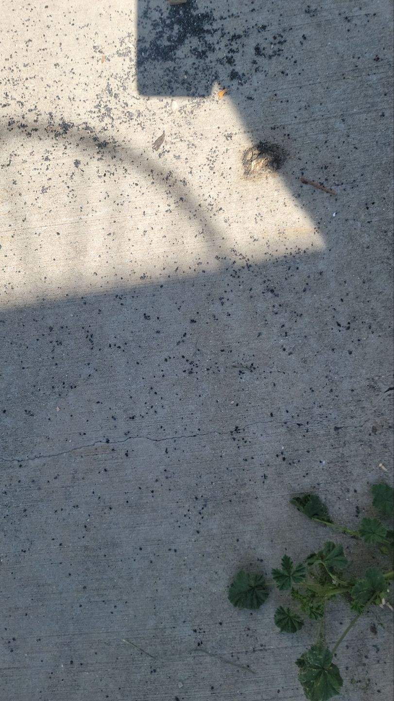 Roof Replacement After Hail Damage by ASAP Roofing & Restoration
