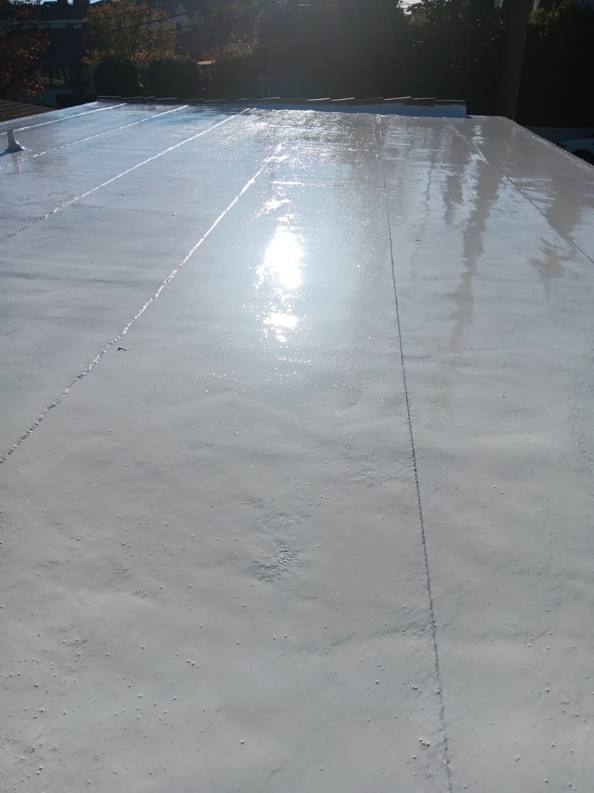 Residential Silicone Coating Project  by Hull Brothers Roofing